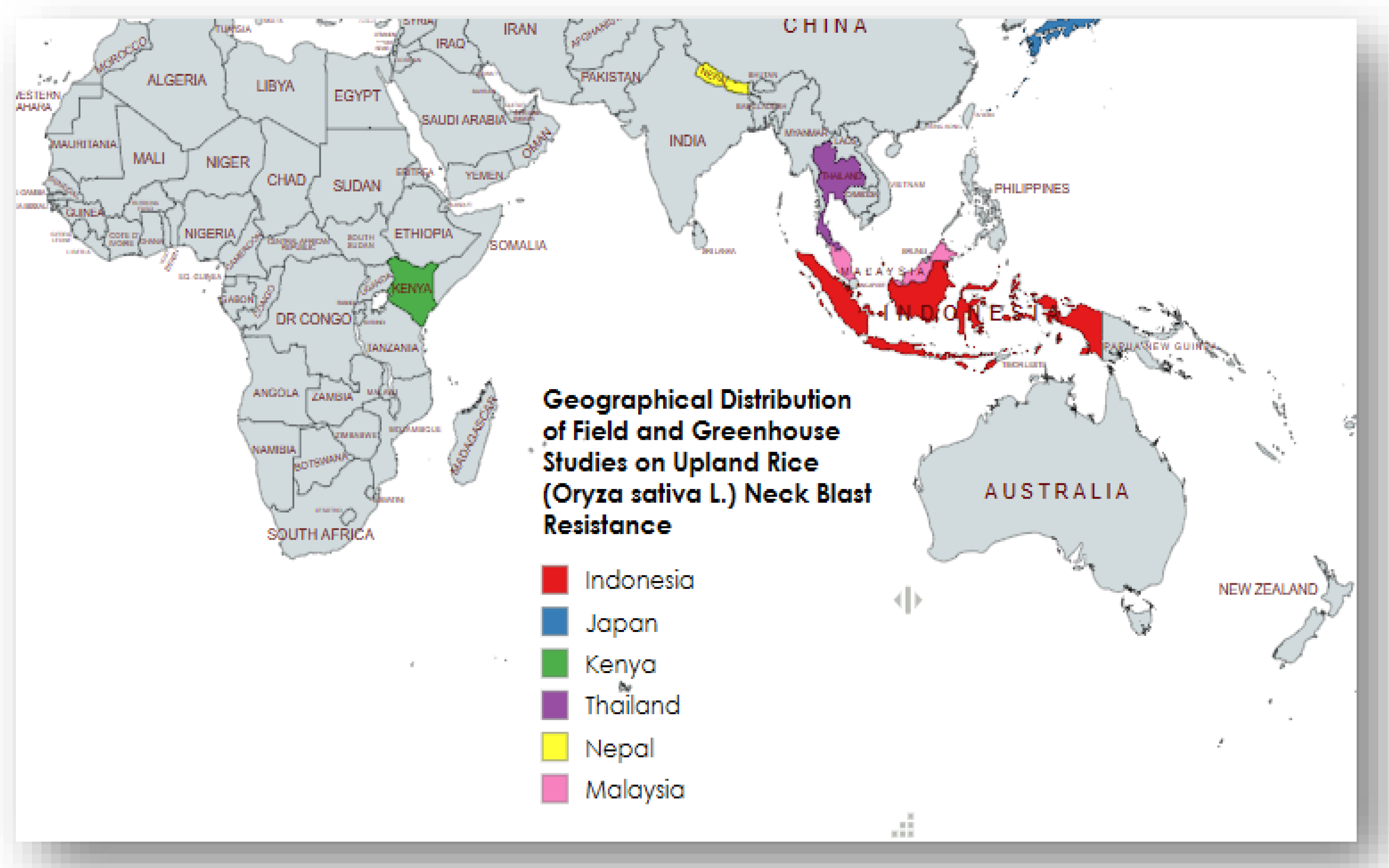 Preprints 191306 g002