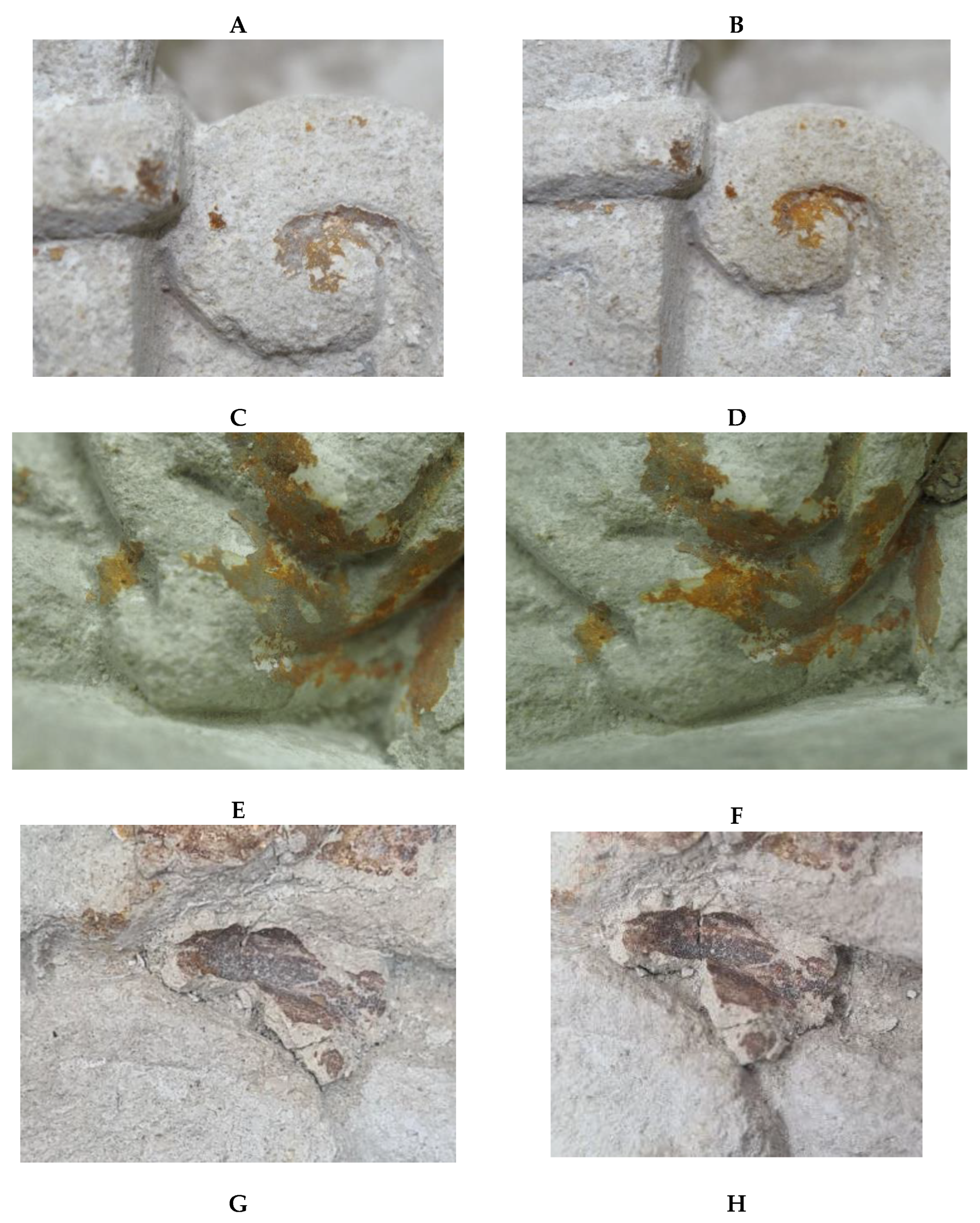 Preprints 218435 g005a