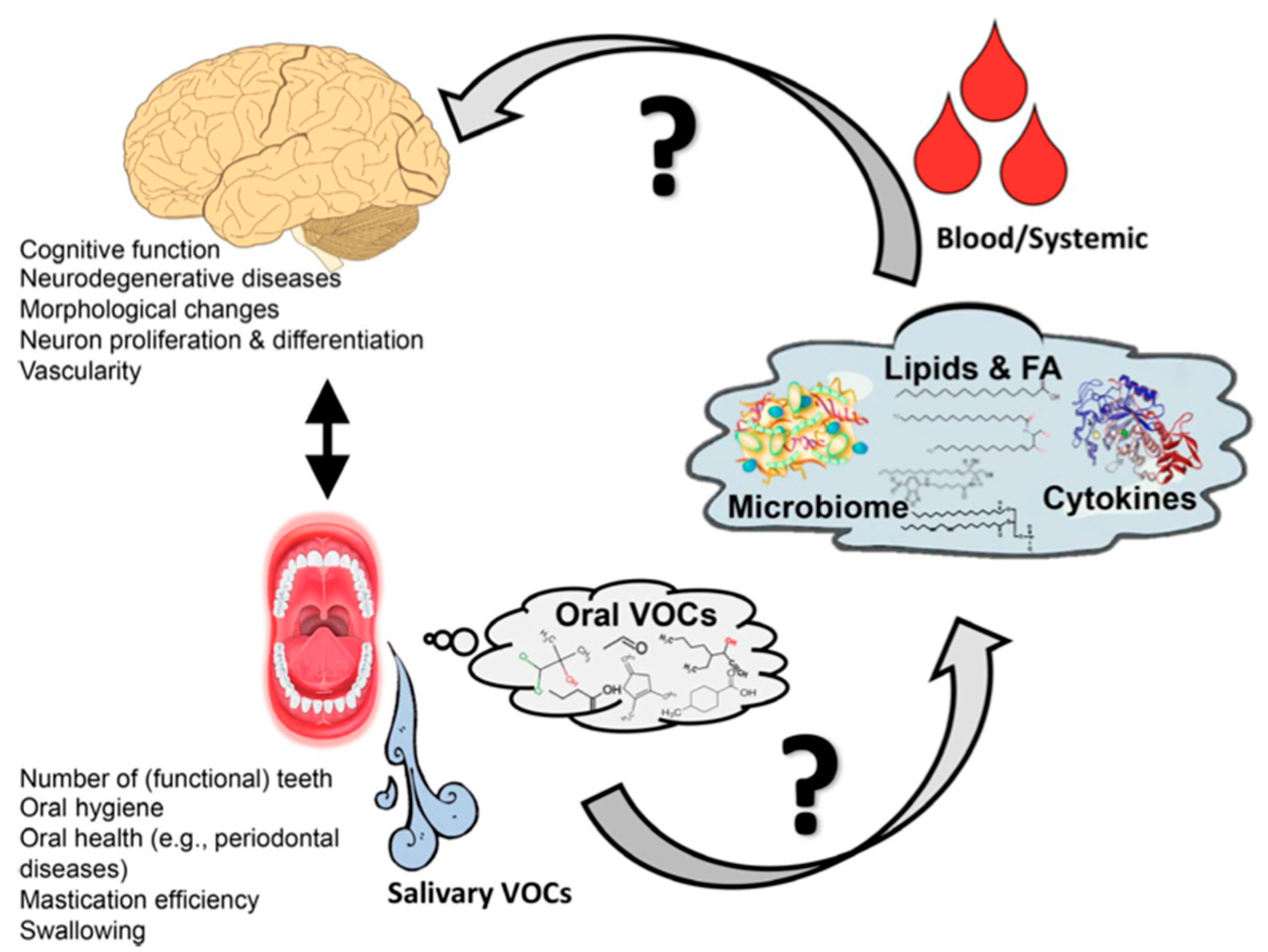 Preprints 113403 g001