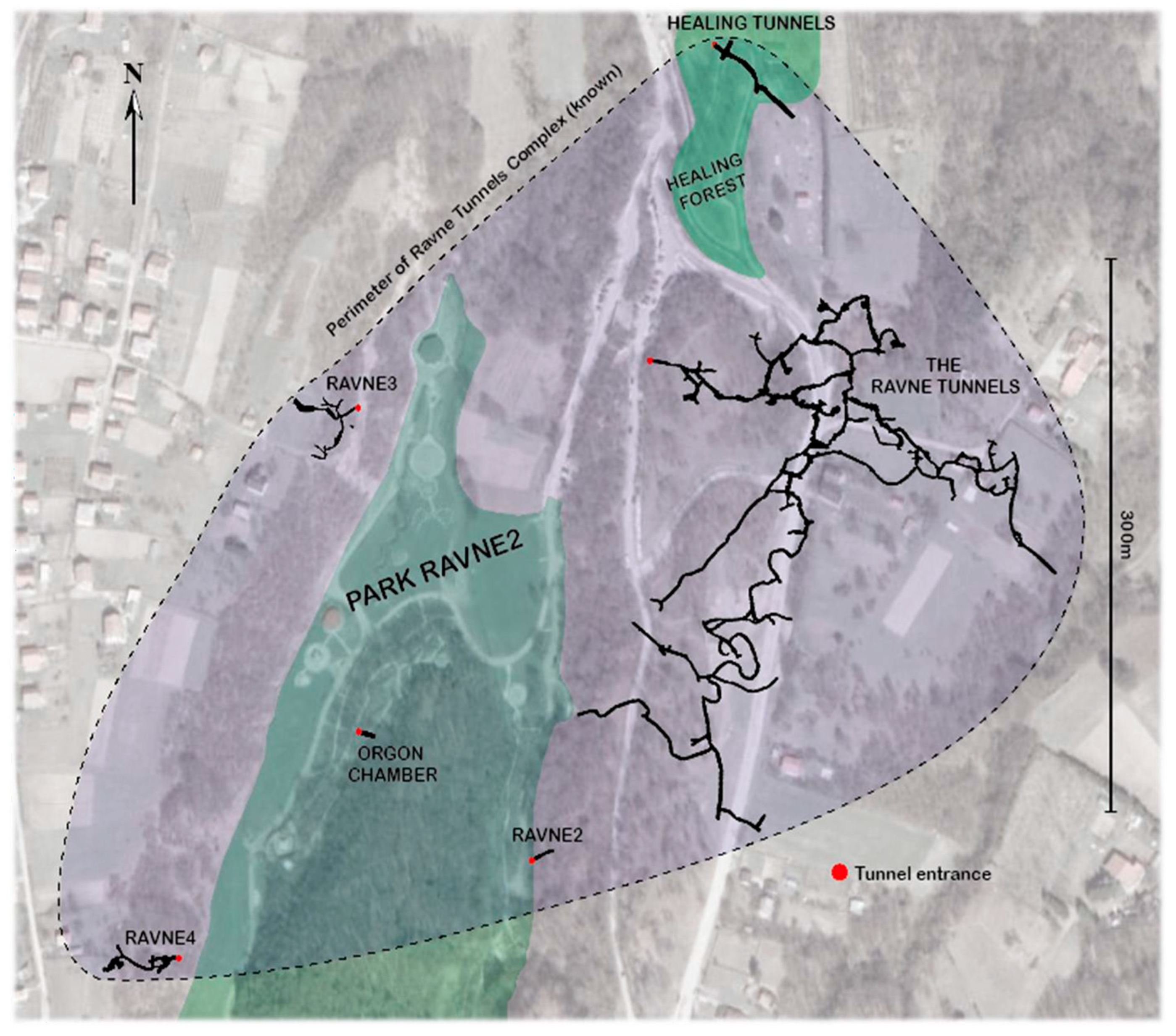 Preprints 158174 g004