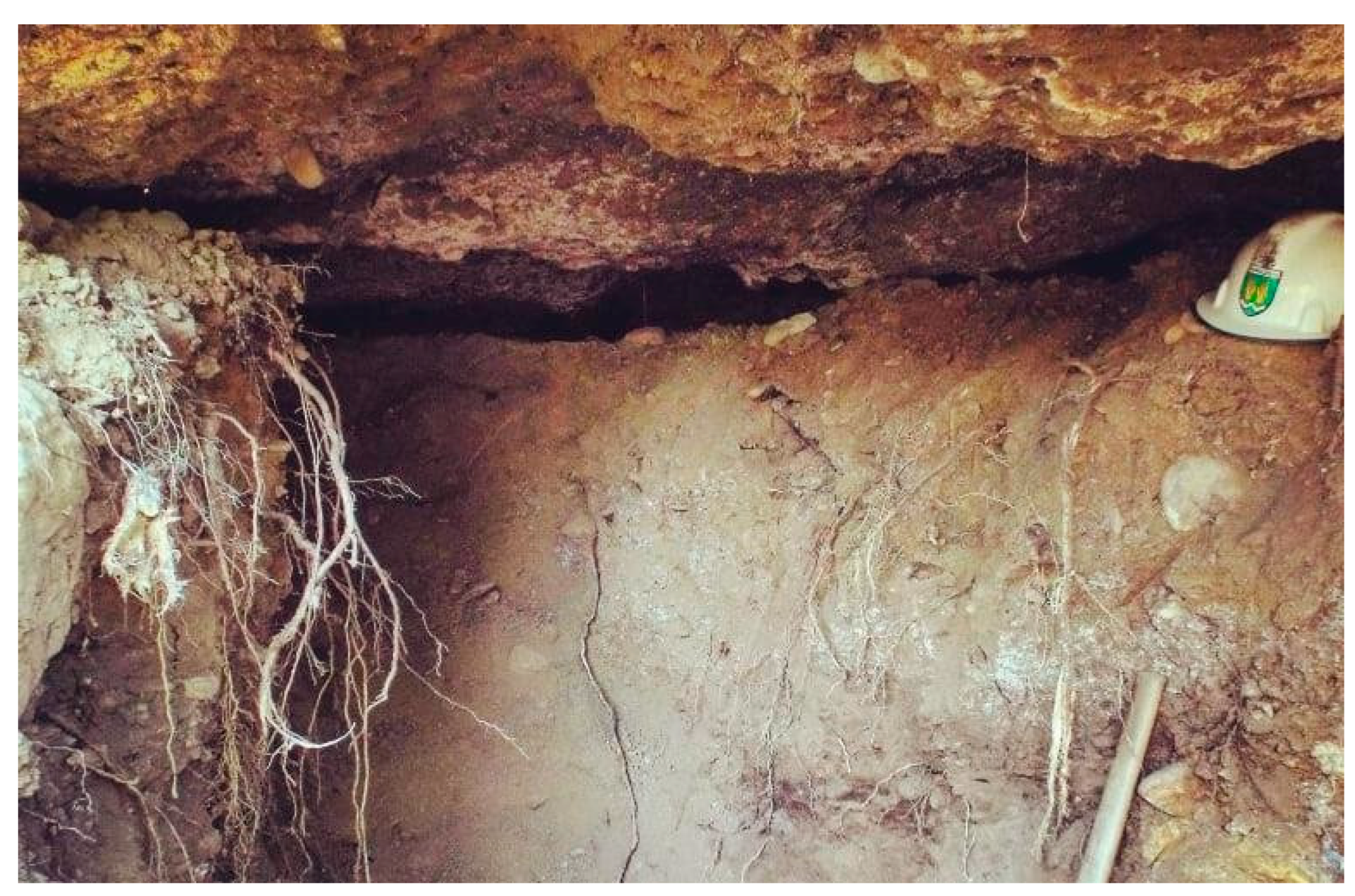 Preprints 158174 g007