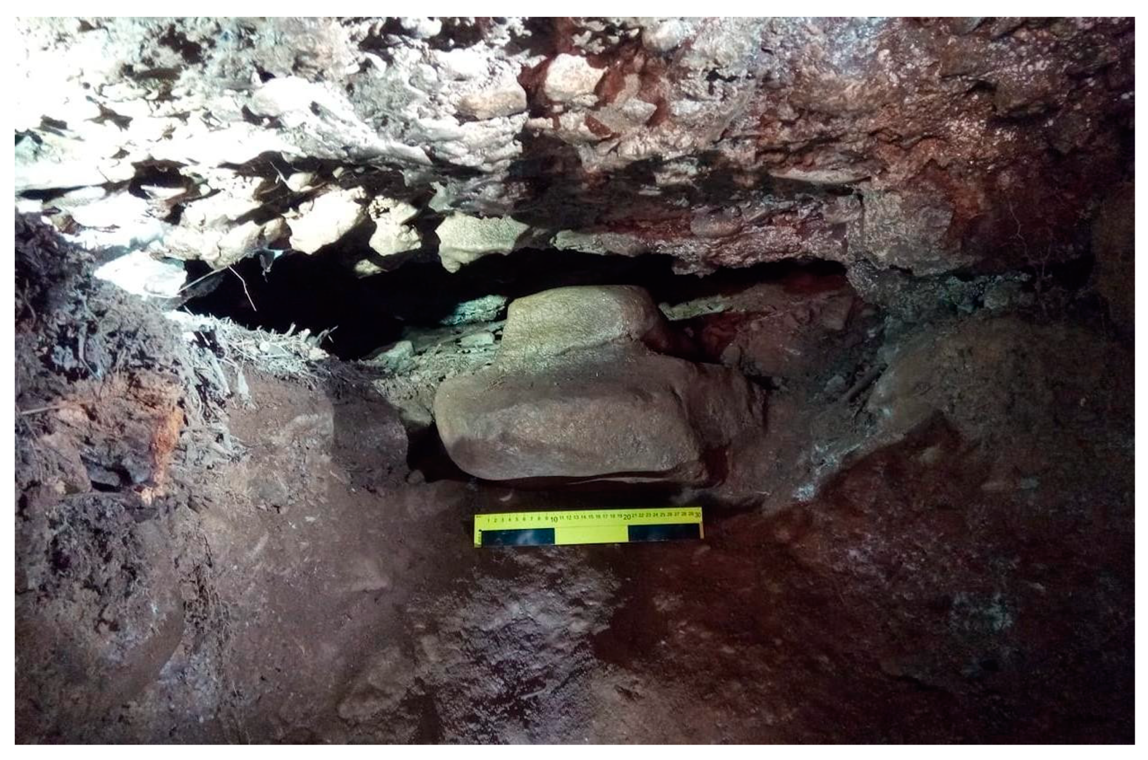 Preprints 158174 g008