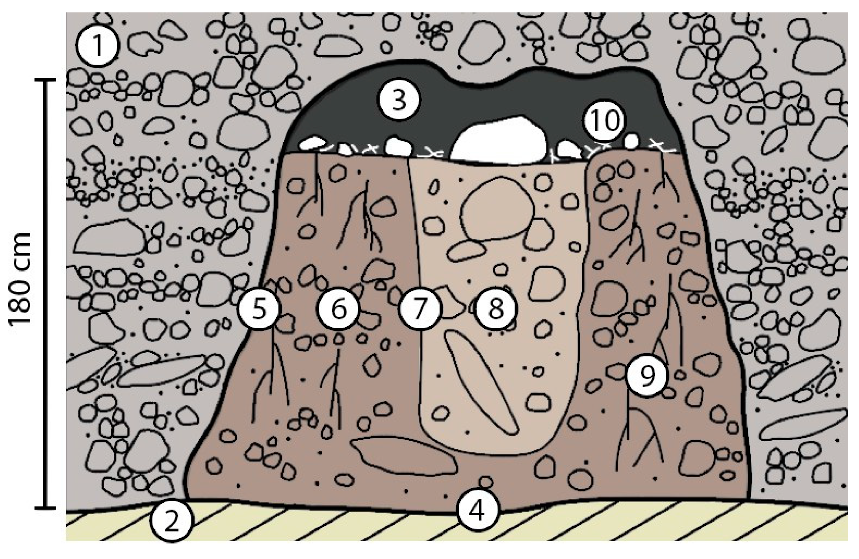 Preprints 158174 g009