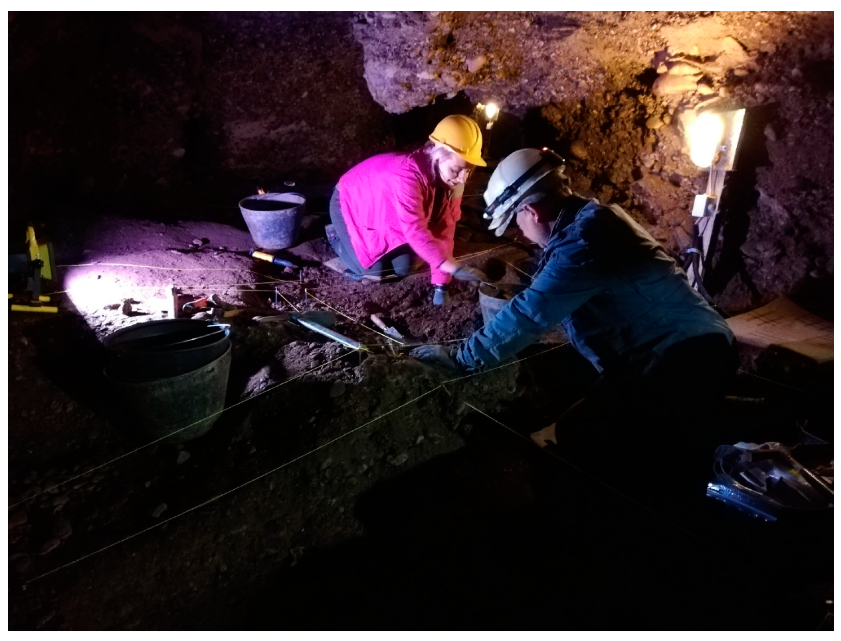 Preprints 158174 g011