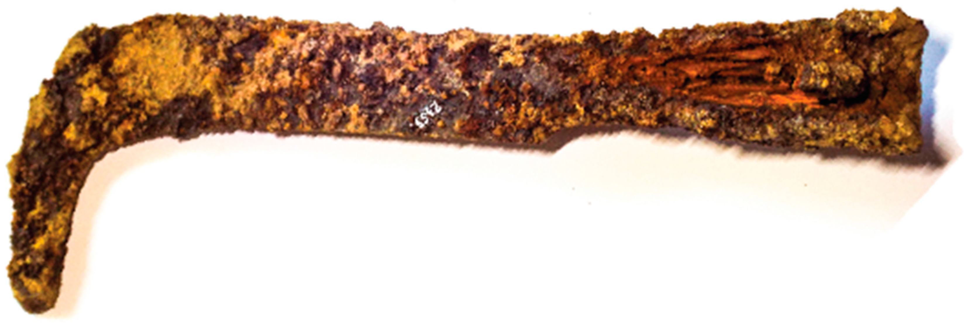 Preprints 158174 g012