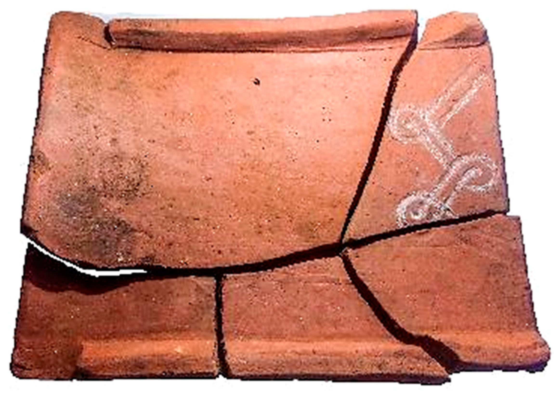 Preprints 158174 g016