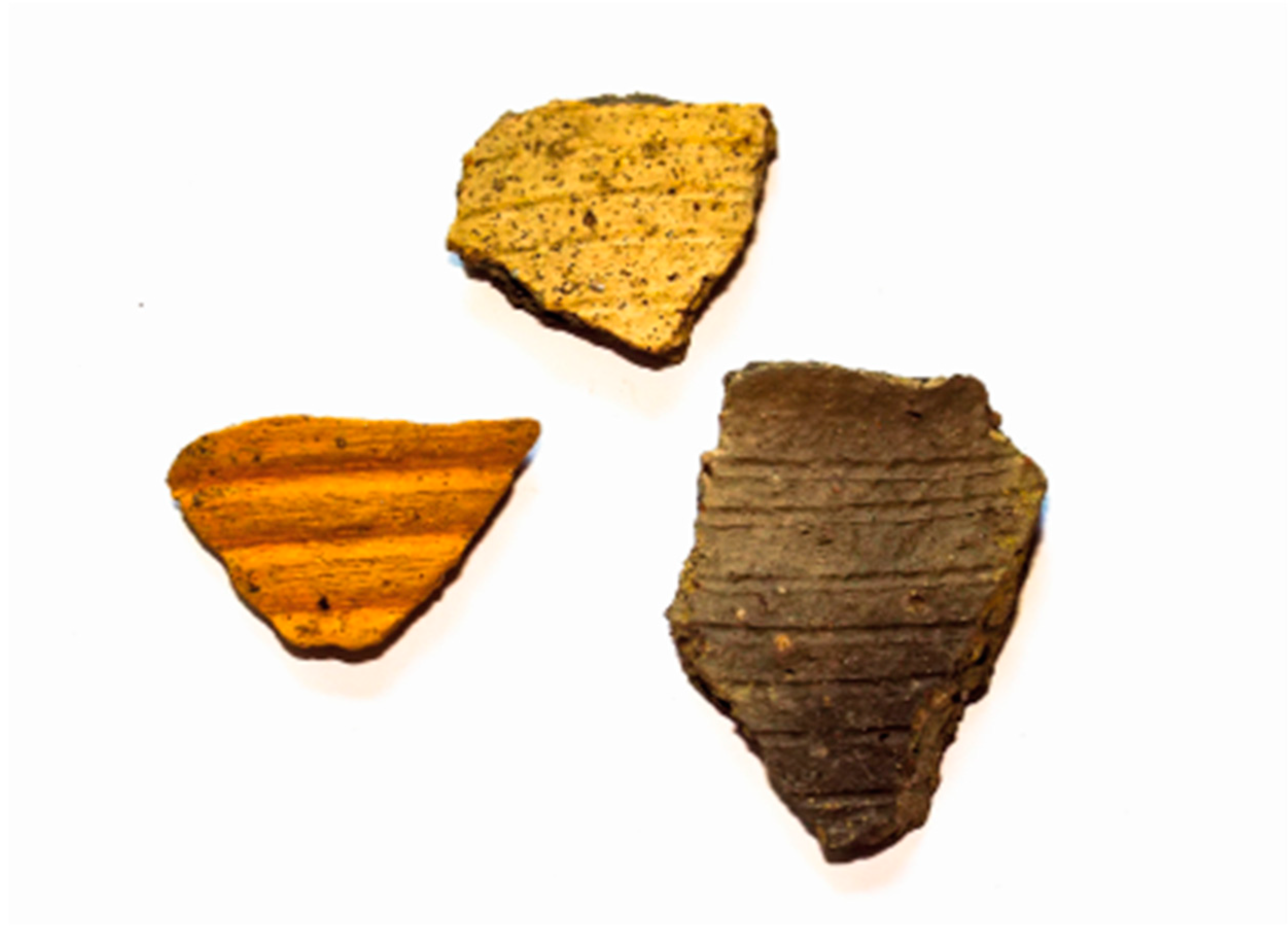 Preprints 158174 g019