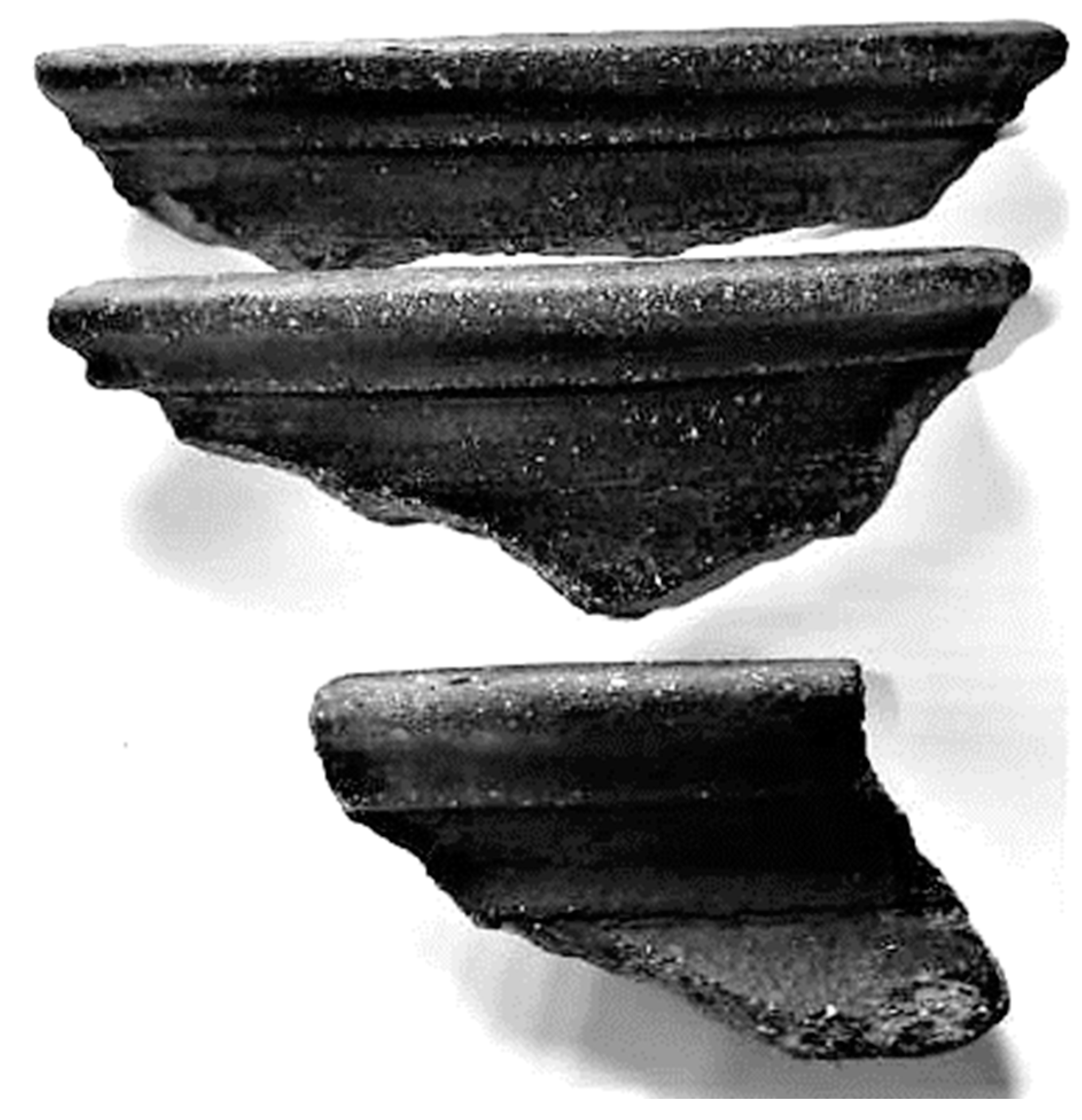 Preprints 158174 g020