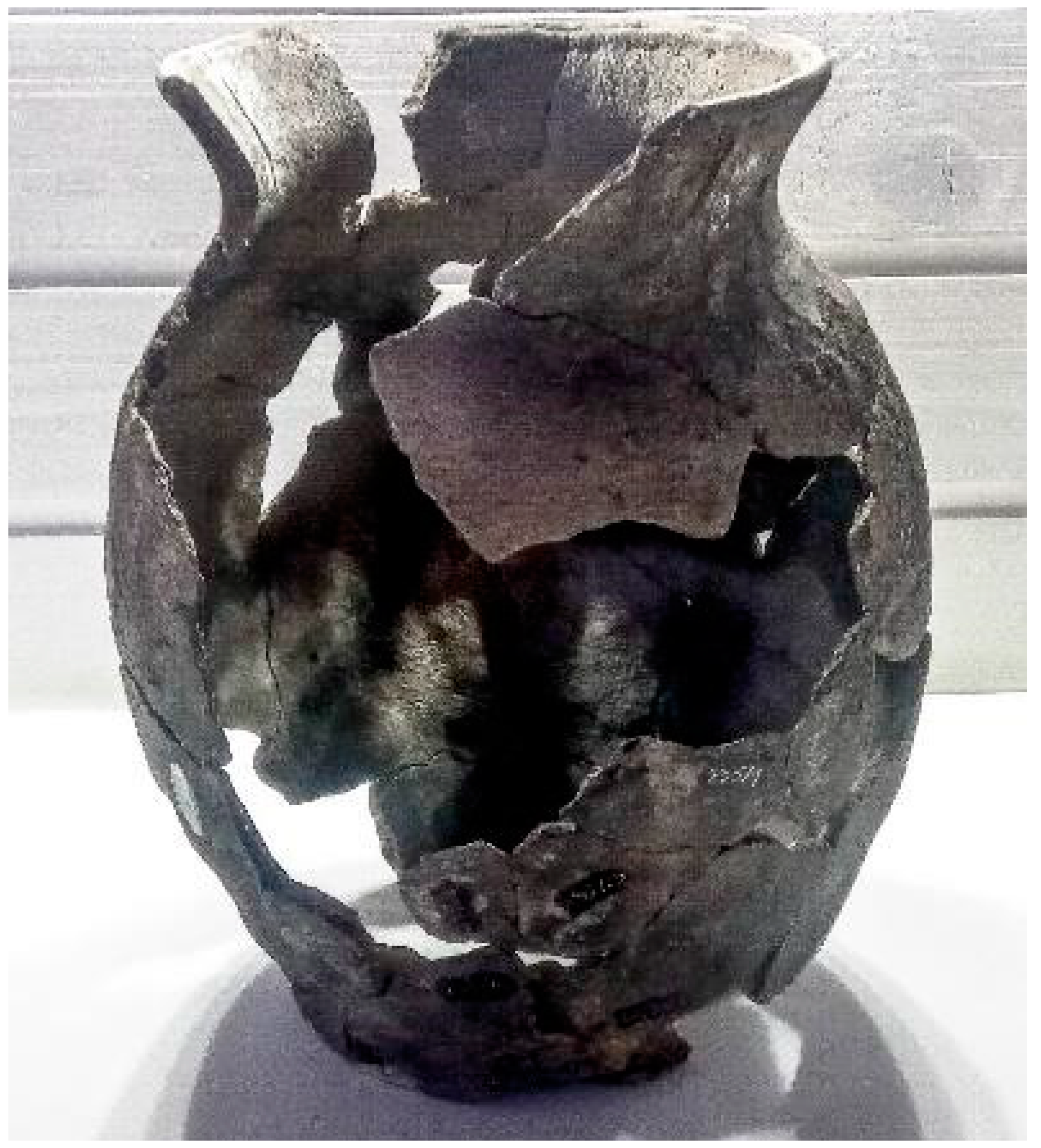 Preprints 158174 g021