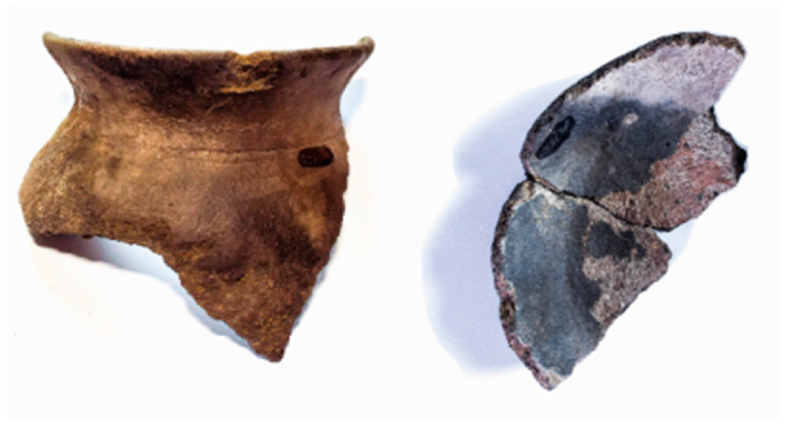 Preprints 158174 g022