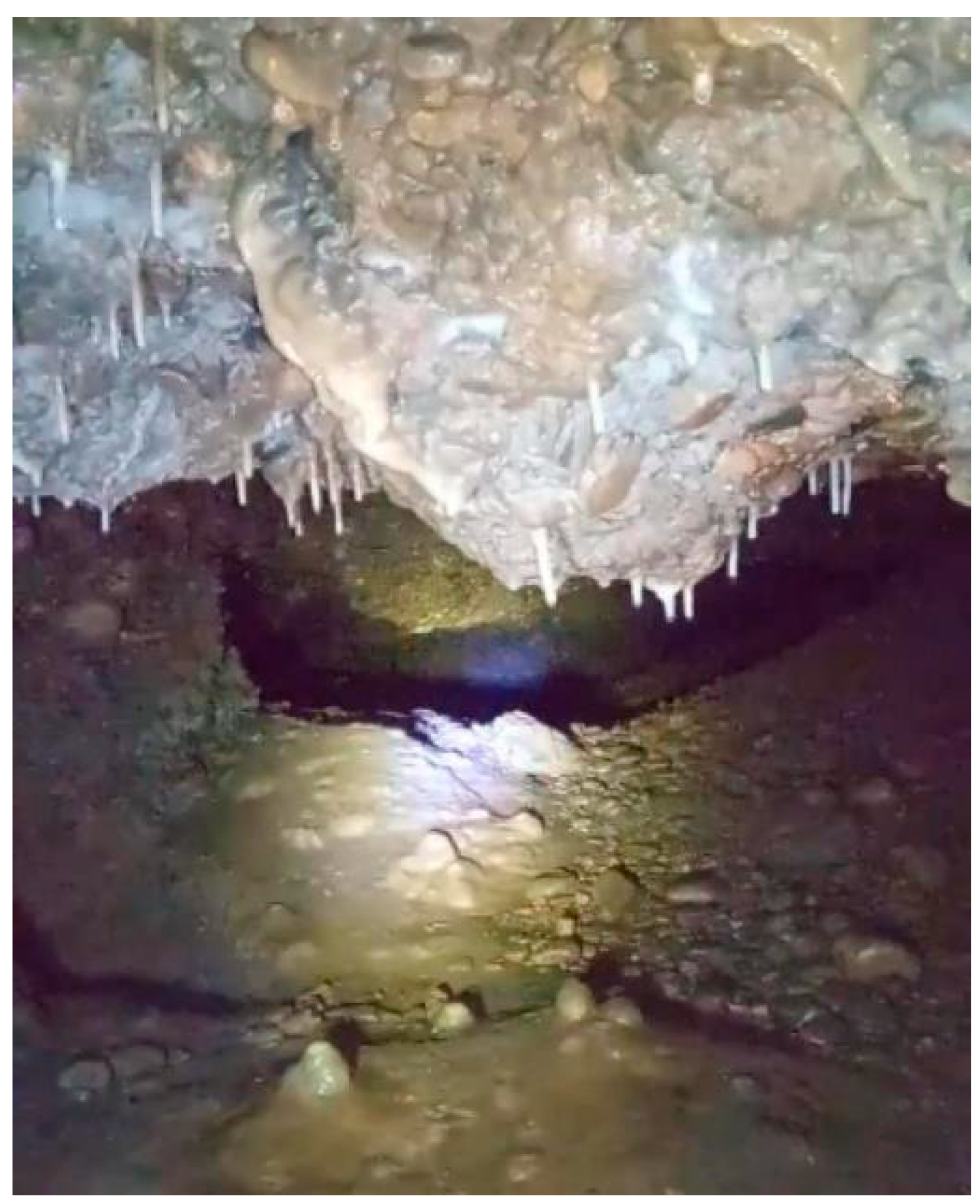 Preprints 158174 g023