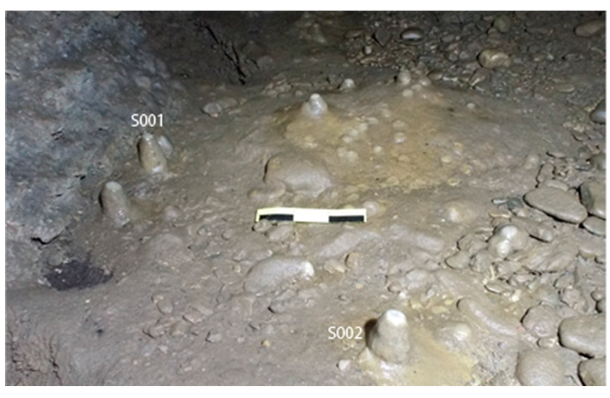 Preprints 158174 g024