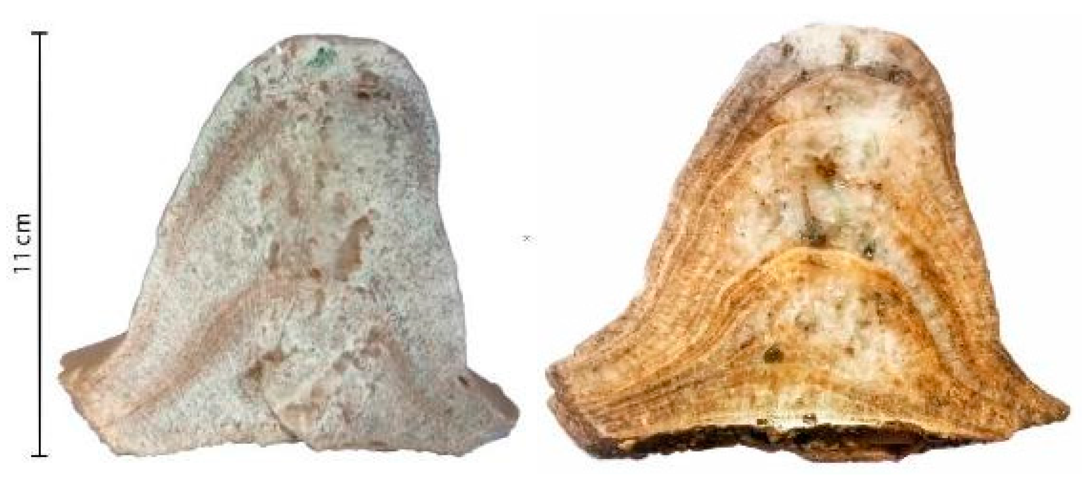 Preprints 158174 g025