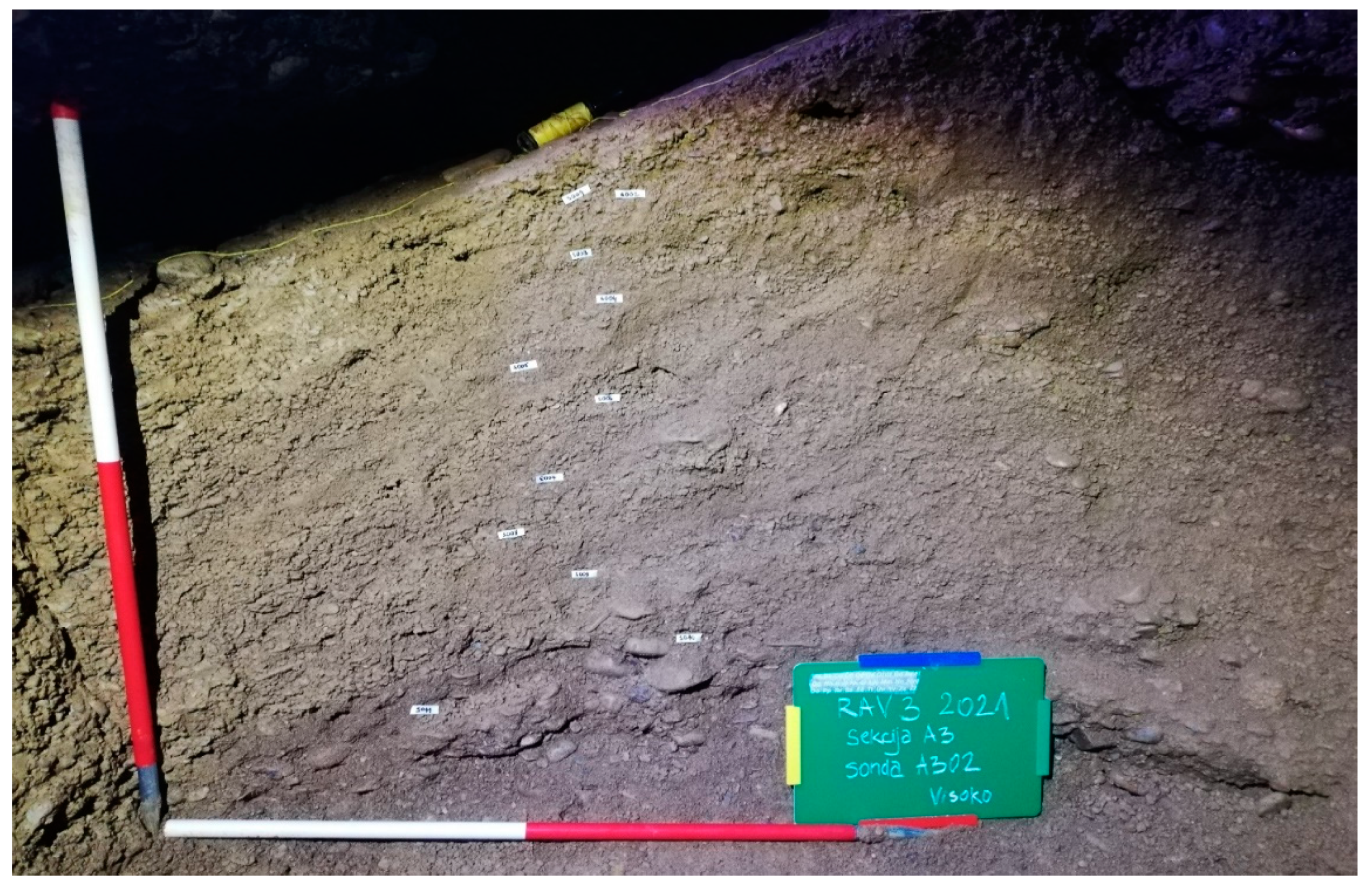 Preprints 158174 g032