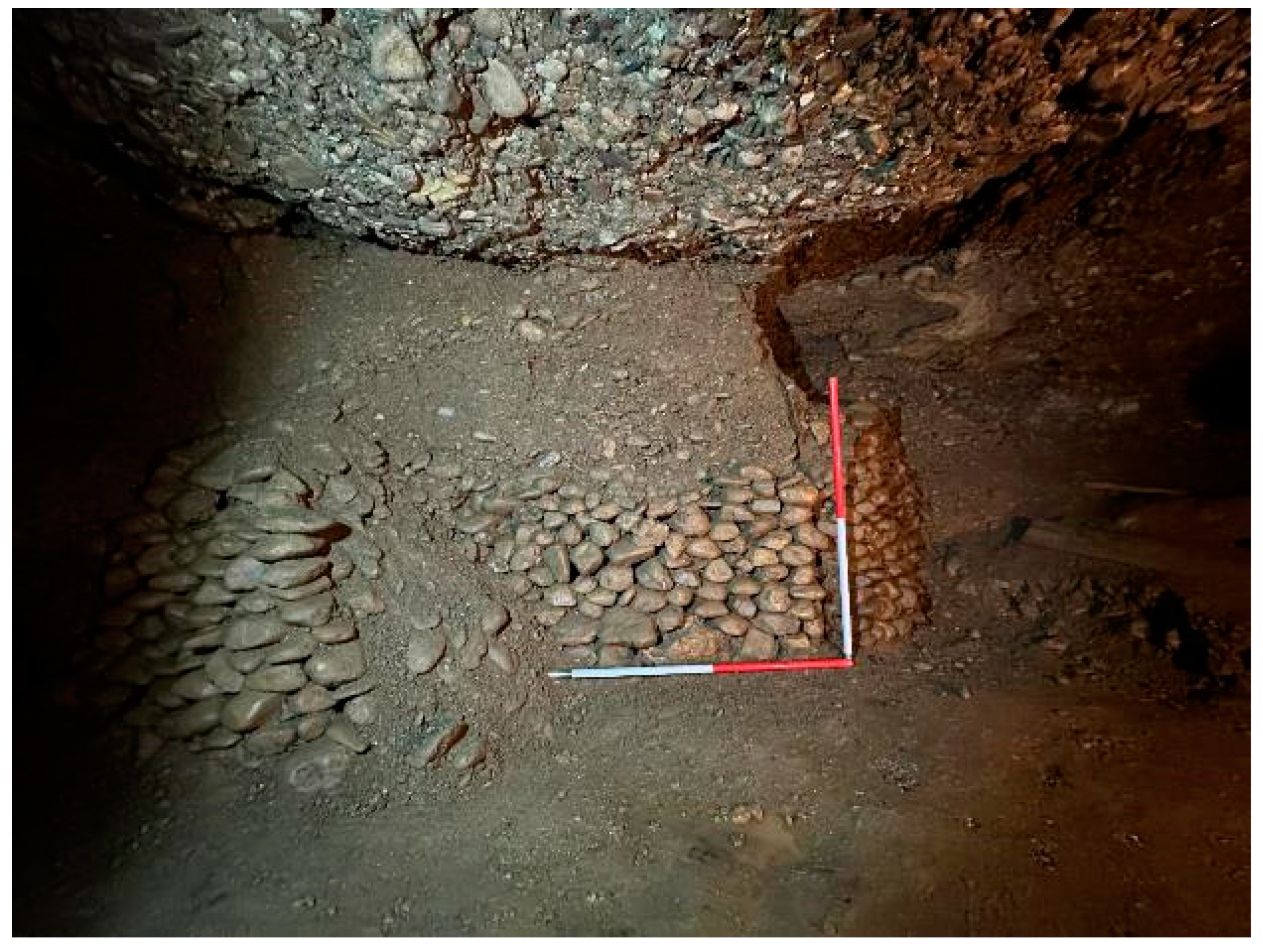 Preprints 158174 g033