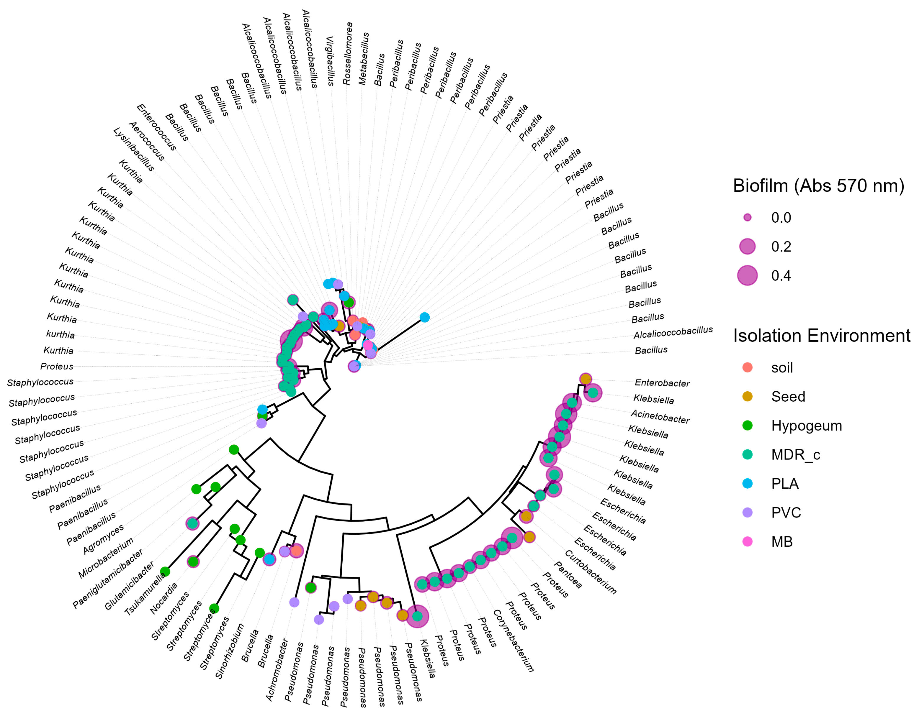 Preprints 190049 g005