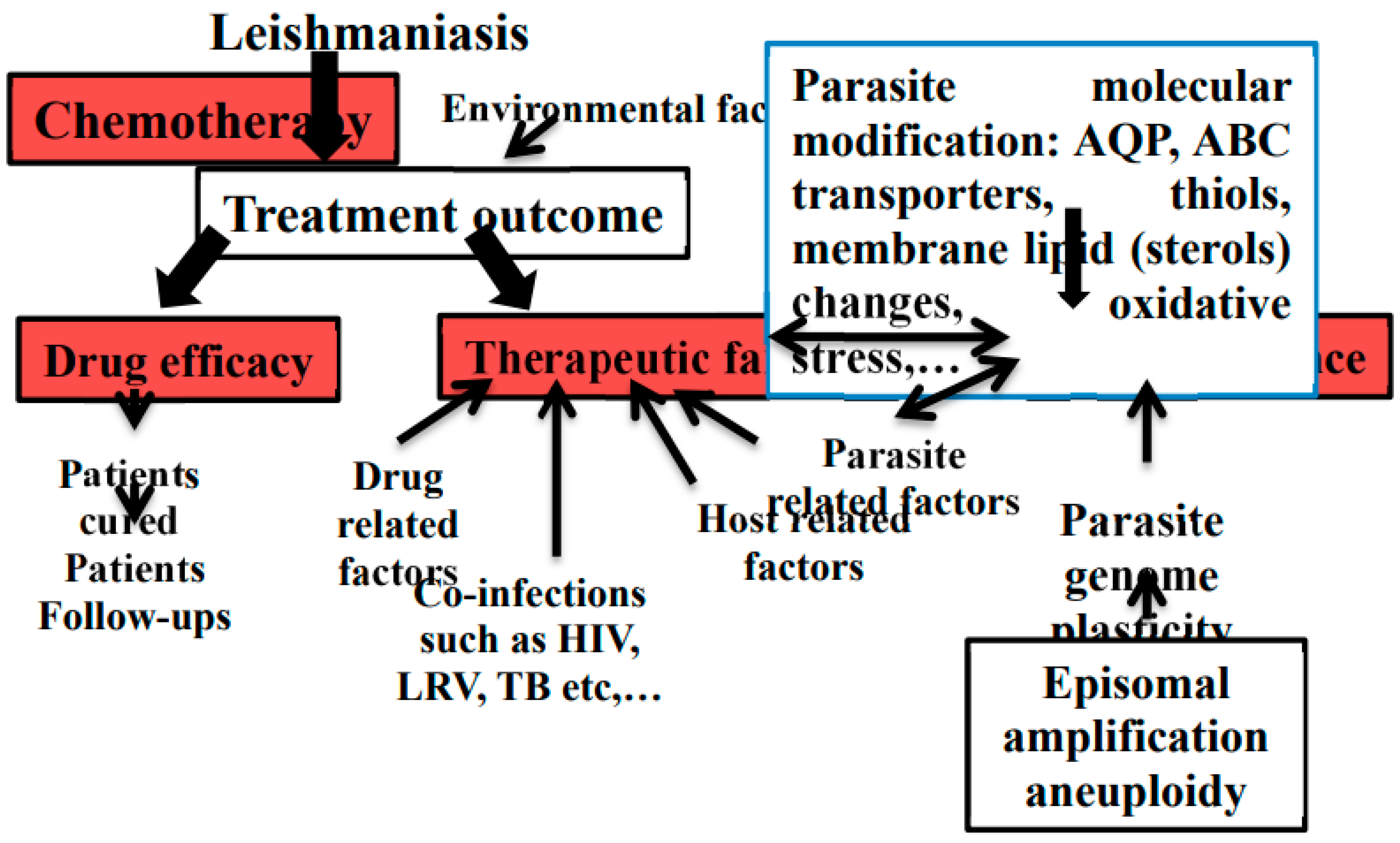 Preprints 141153 g002