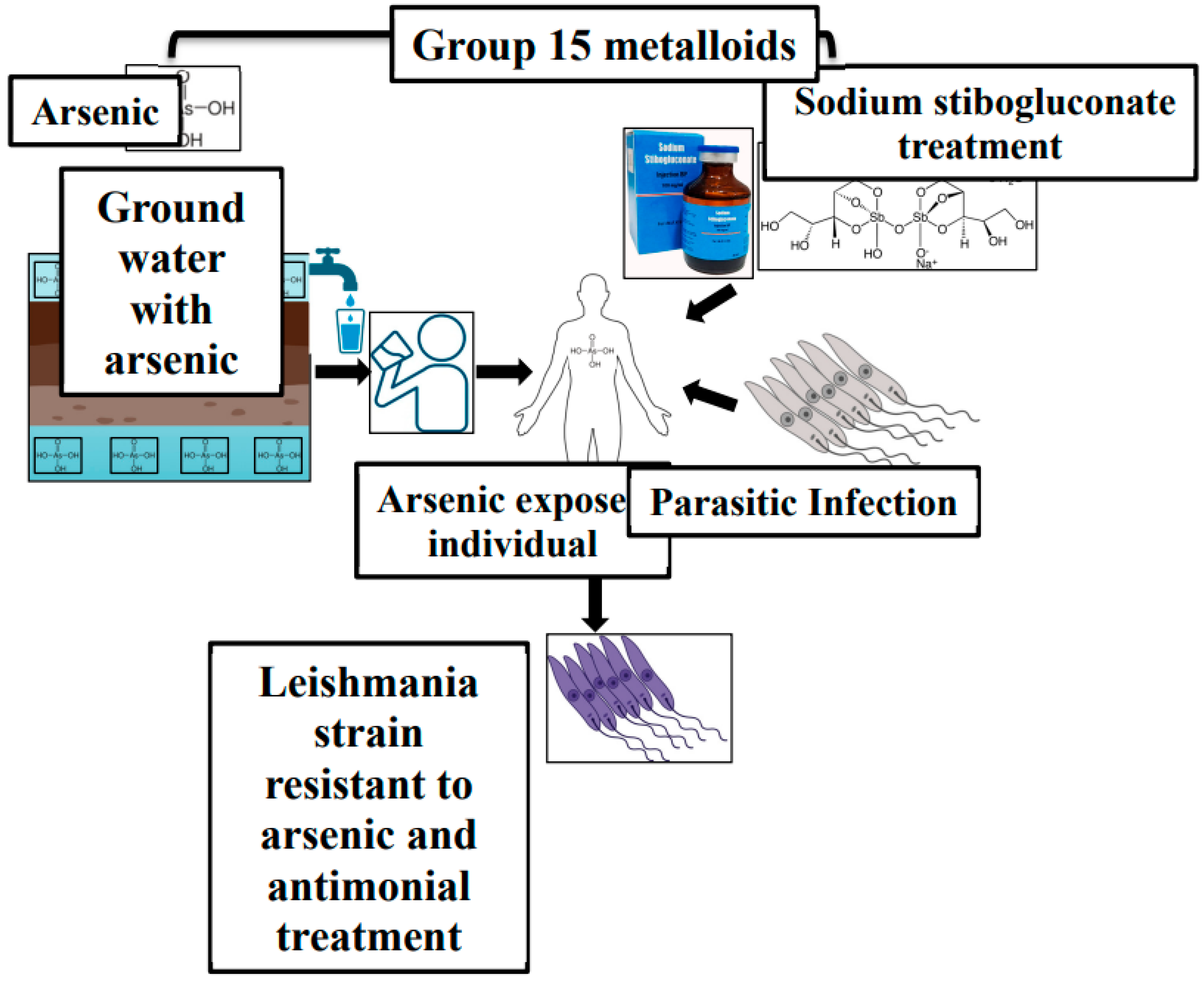 Preprints 141153 g003