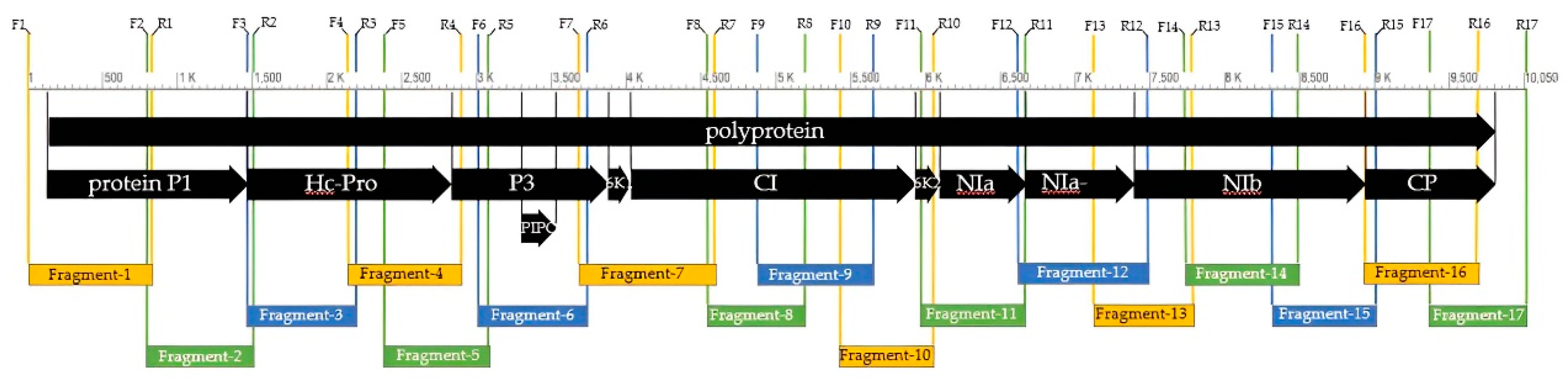 Preprints 71803 g003