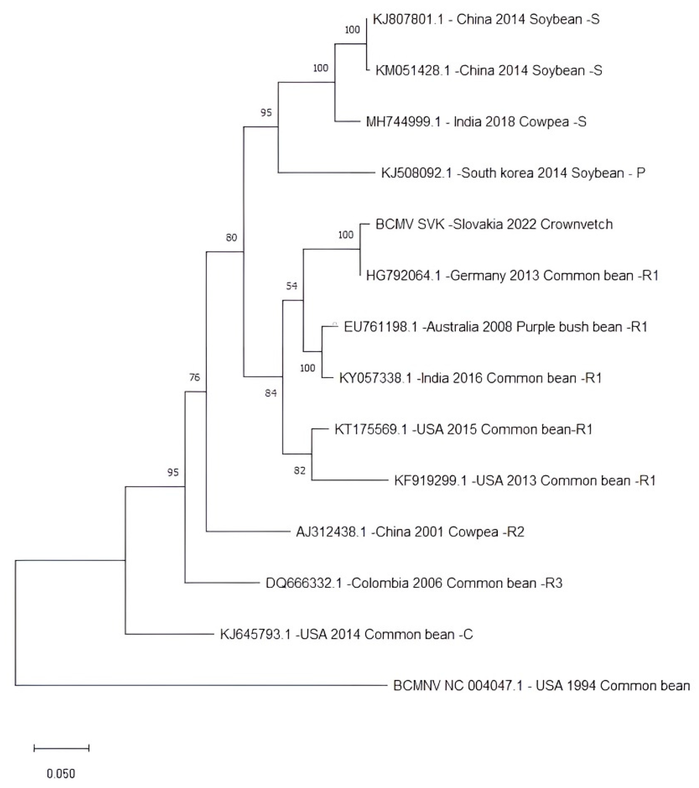 Preprints 71803 g007