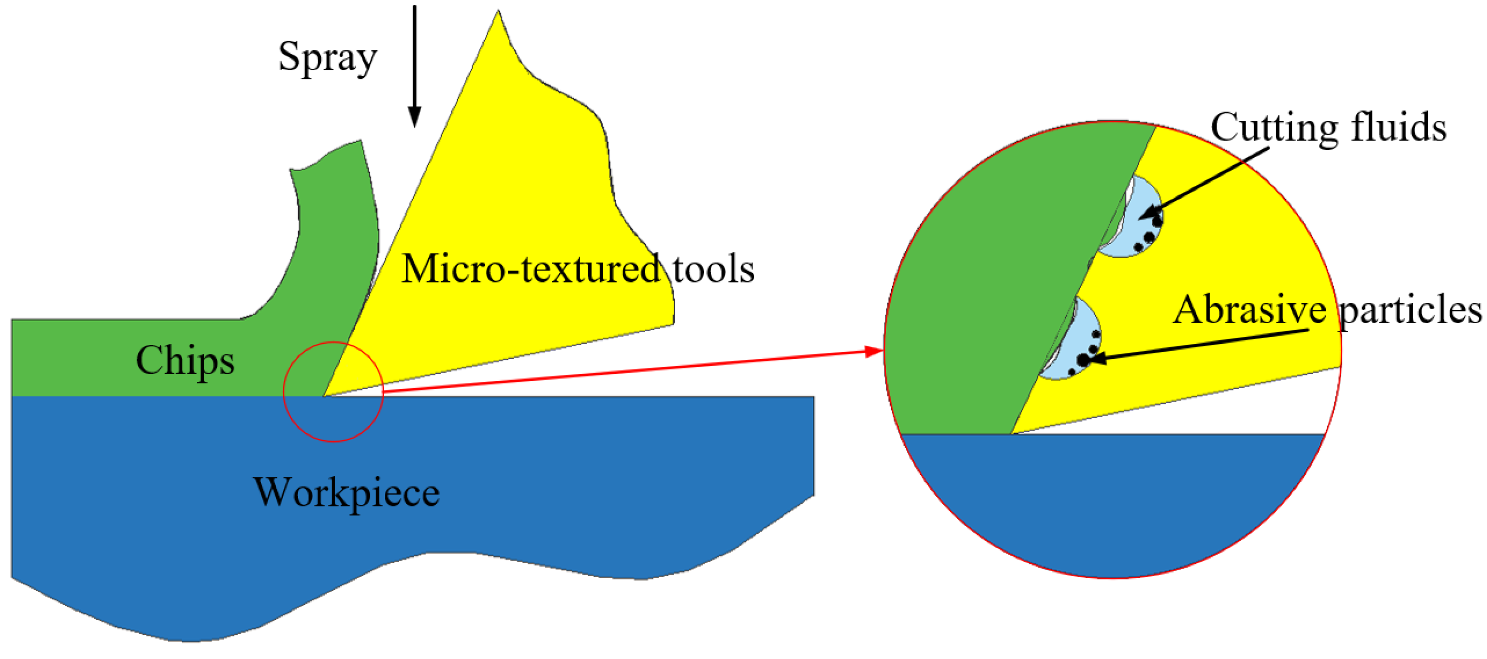 Preprints 155082 g007