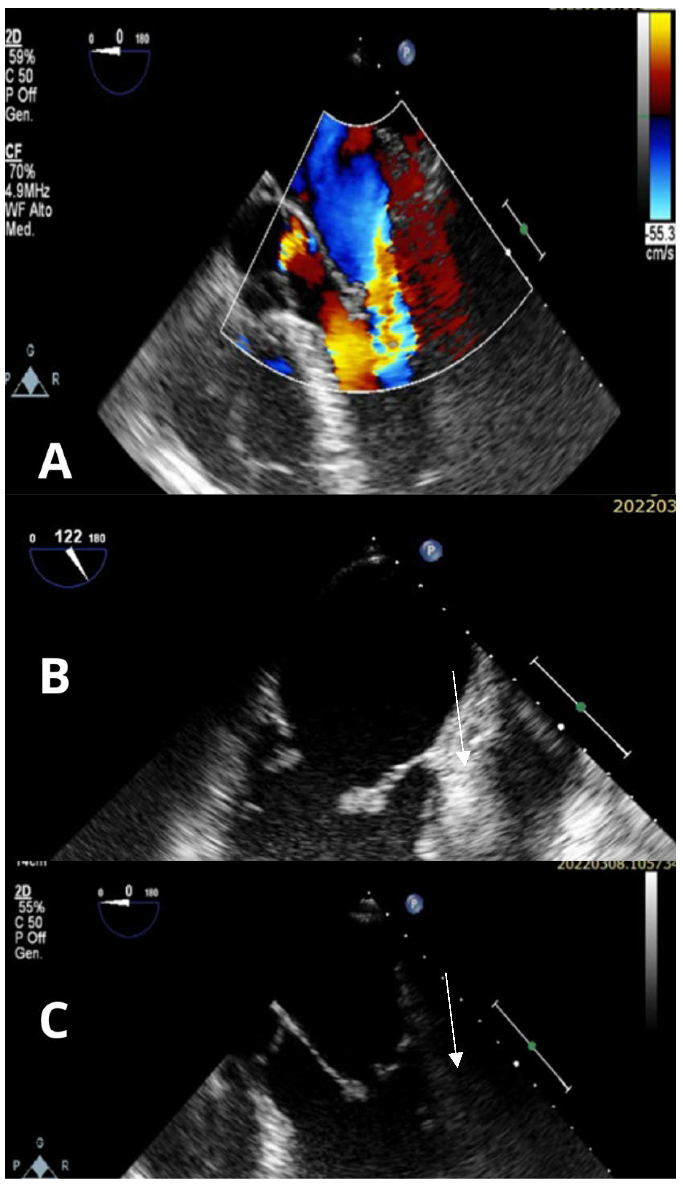 Preprints 173299 g002