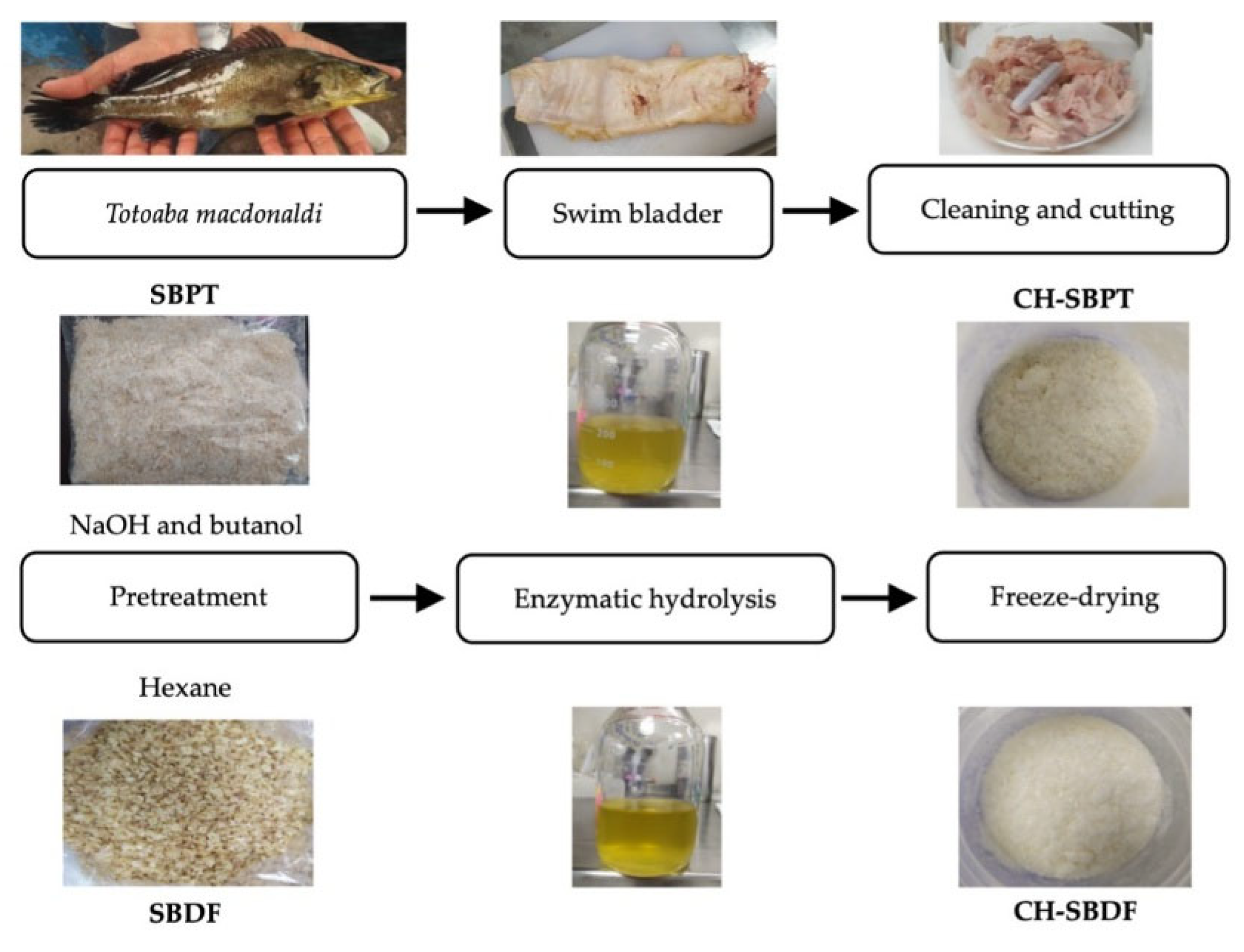 Preprints 175204 g001