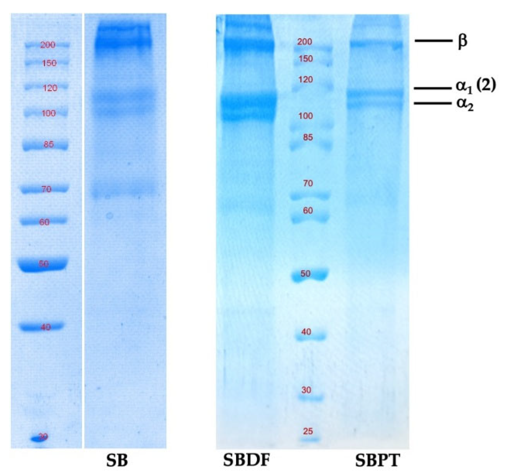 Preprints 175204 g002
