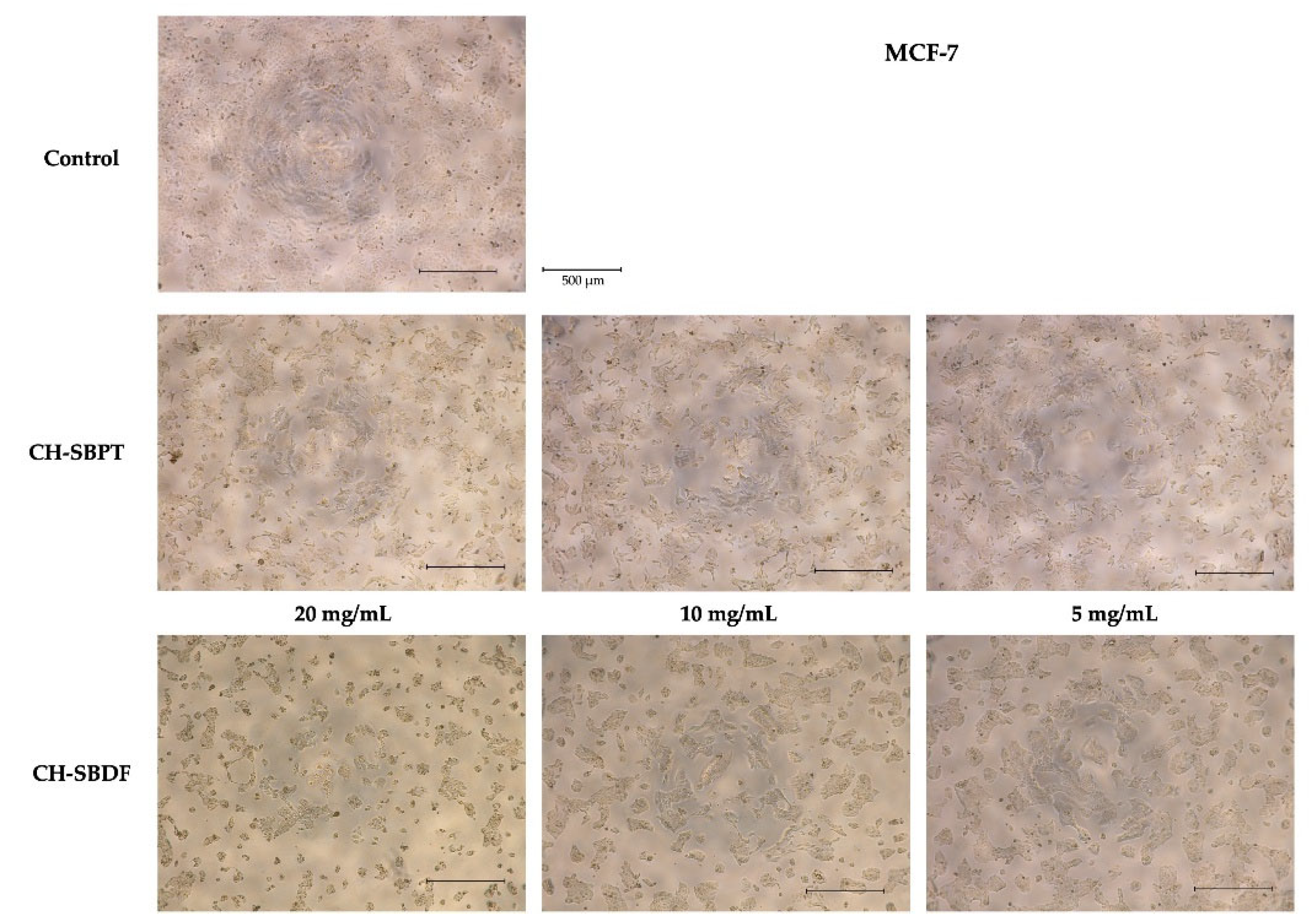 Preprints 175204 g007