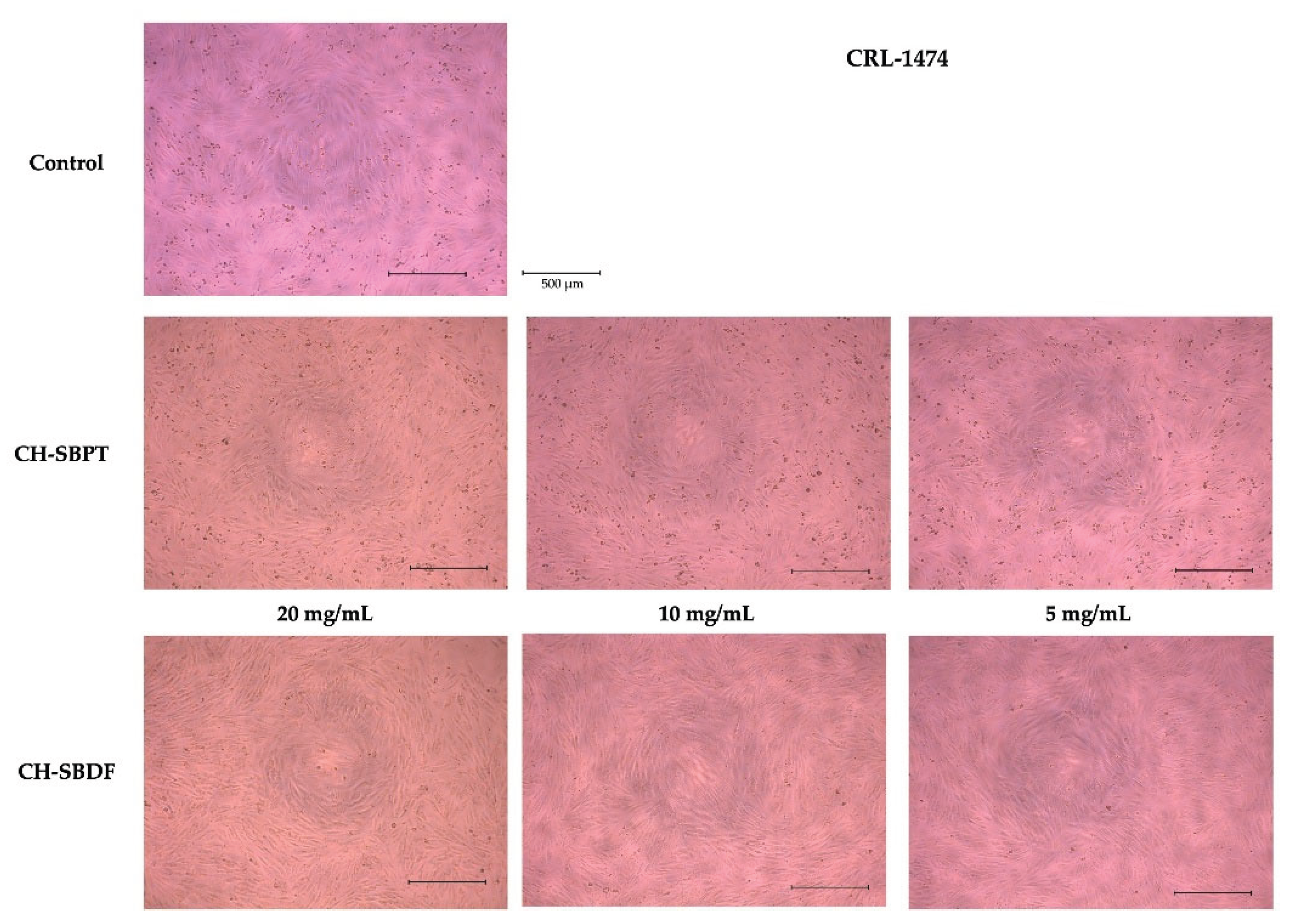 Preprints 175204 g008