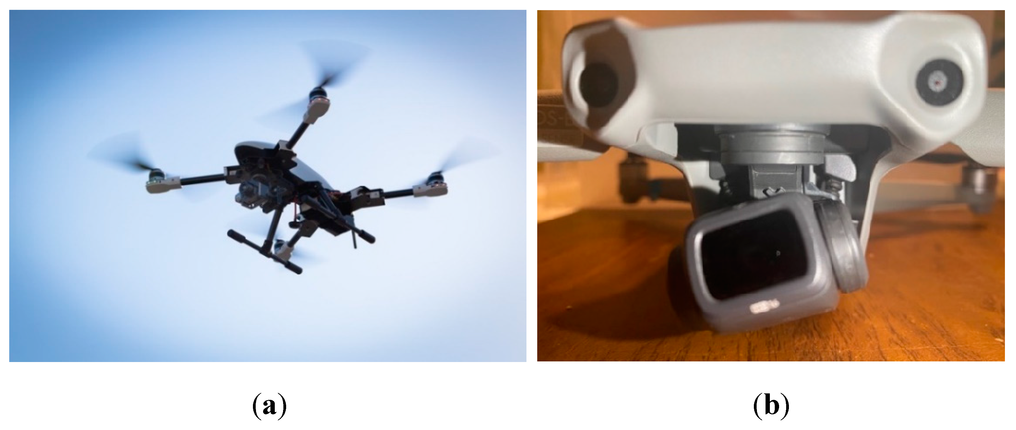 Preprints 73526 g001