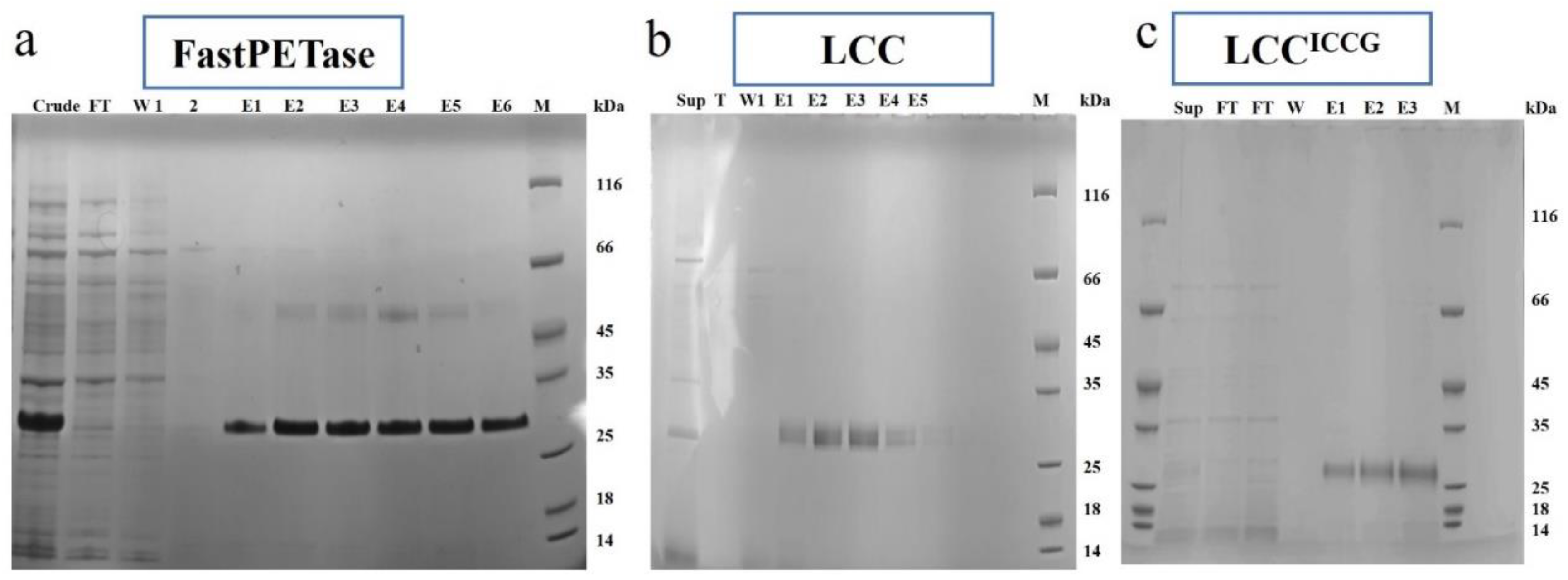 Preprints 150783 g001