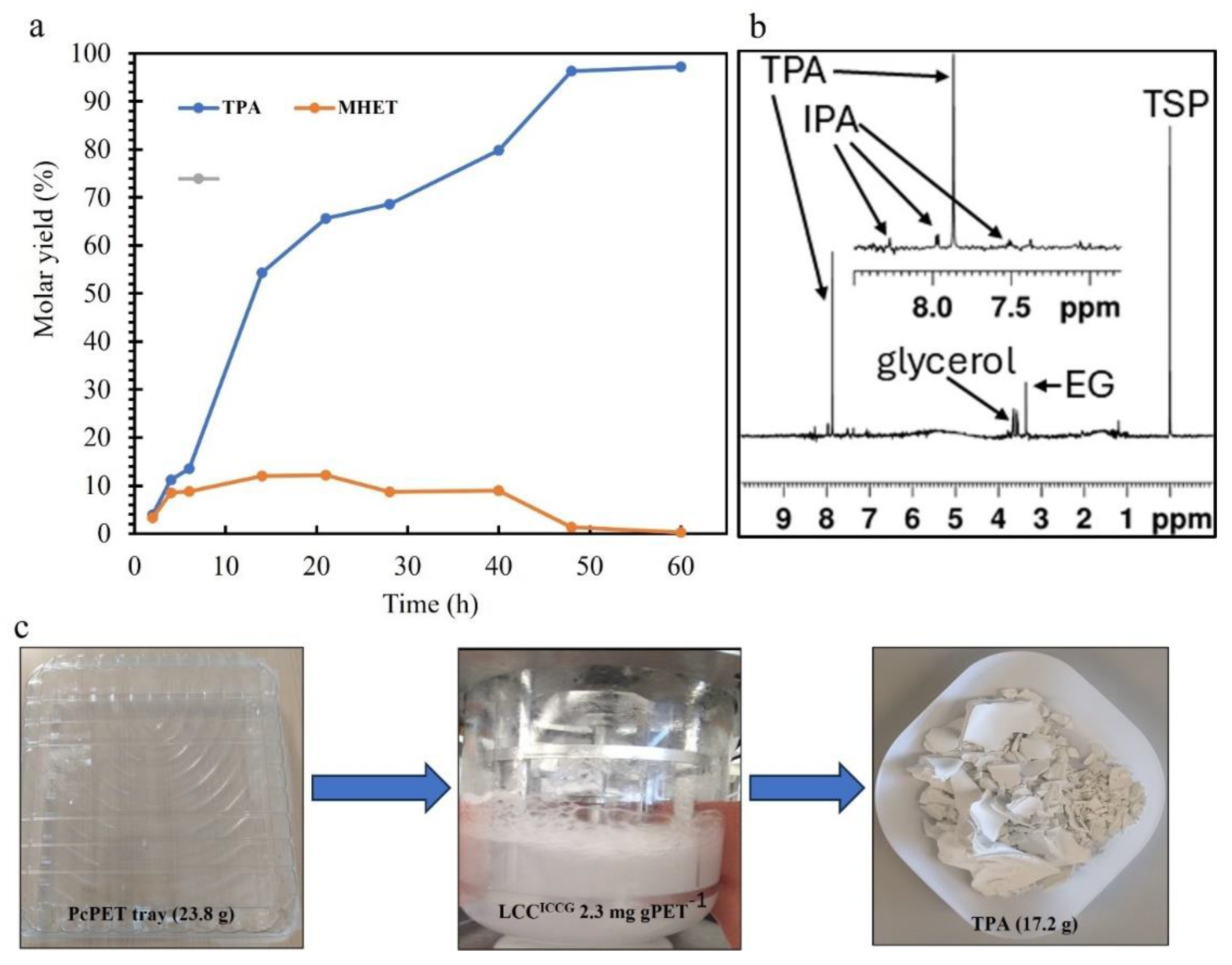 Preprints 150783 g006