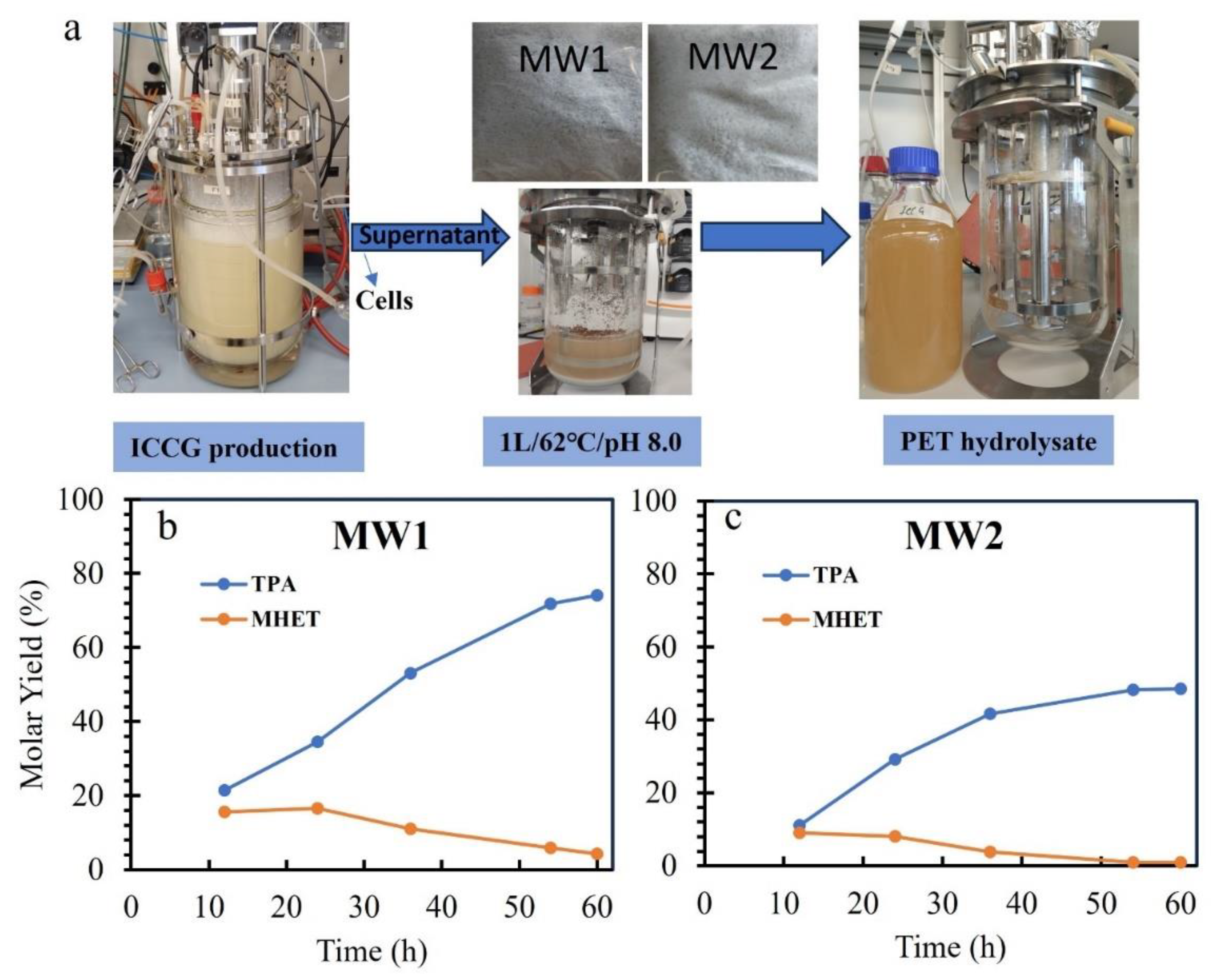 Preprints 150783 g007