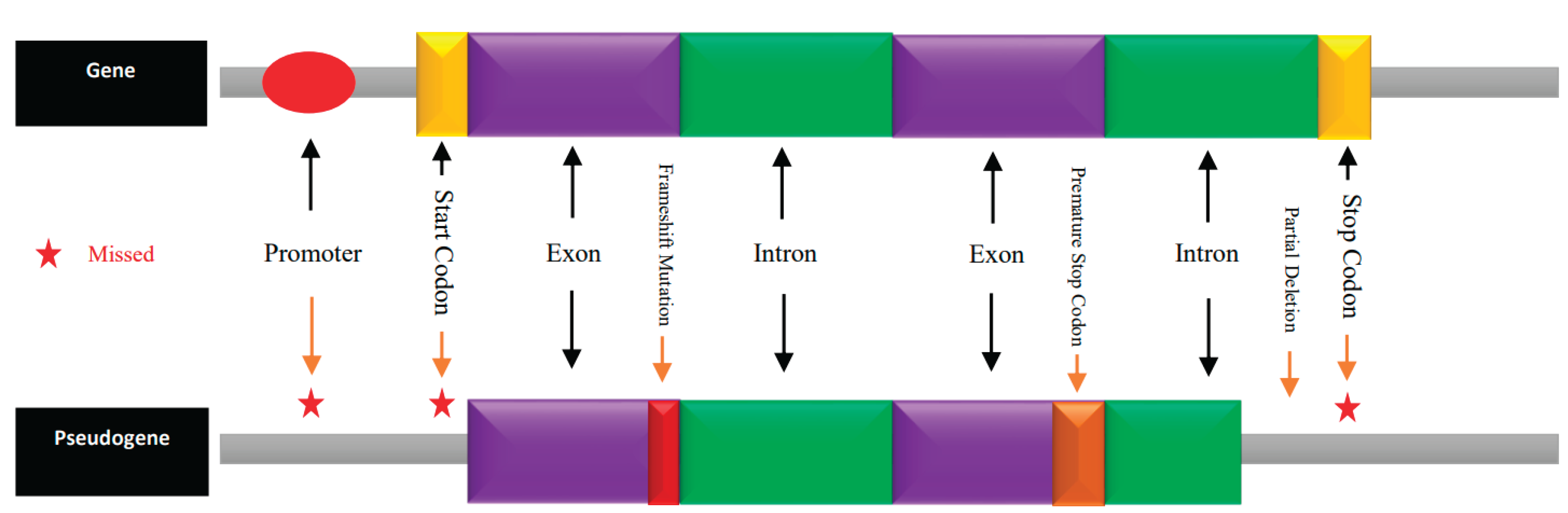 Preprints 165808 g001