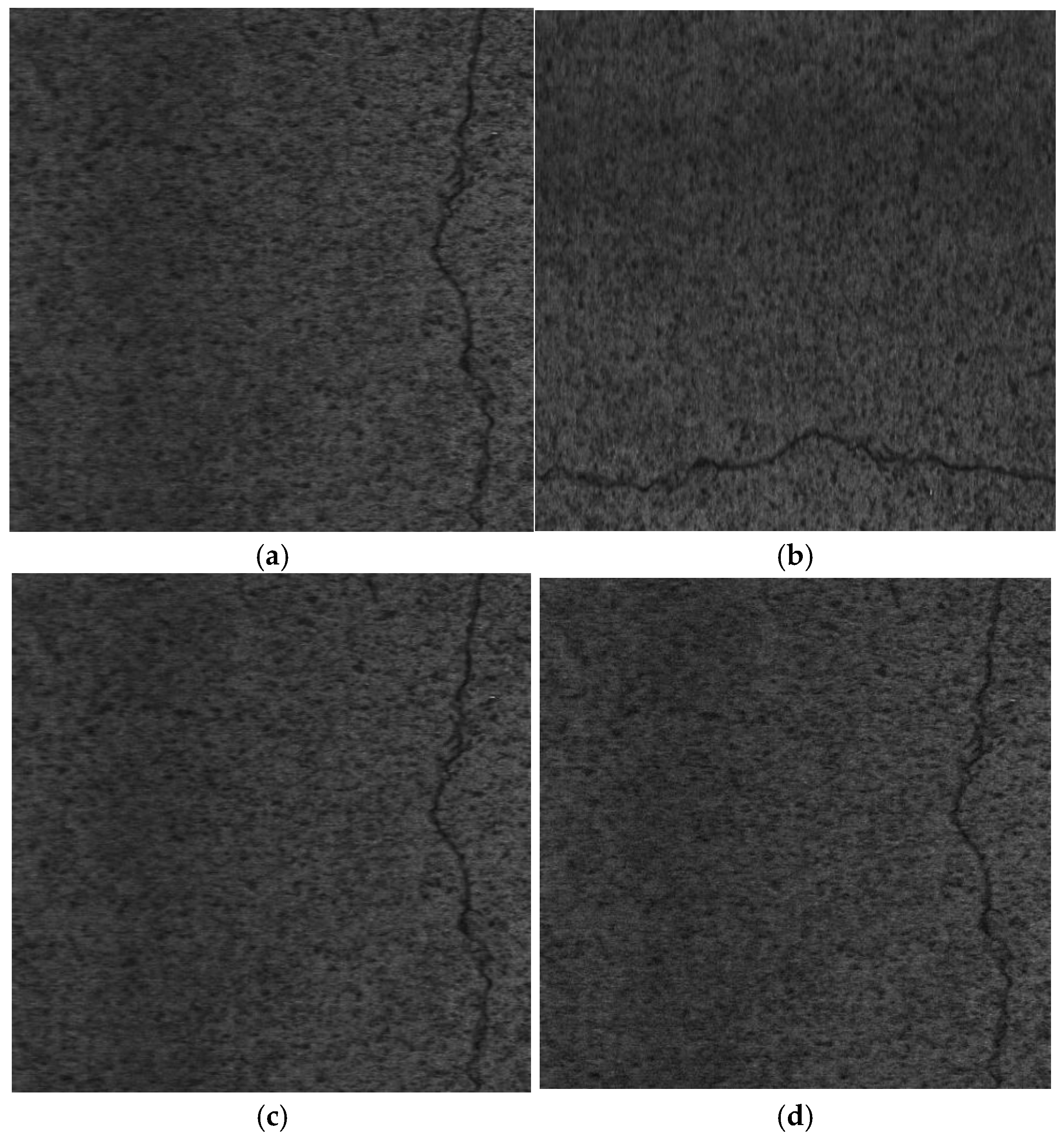 Preprints 224245 g006 Preprints 224245 g006