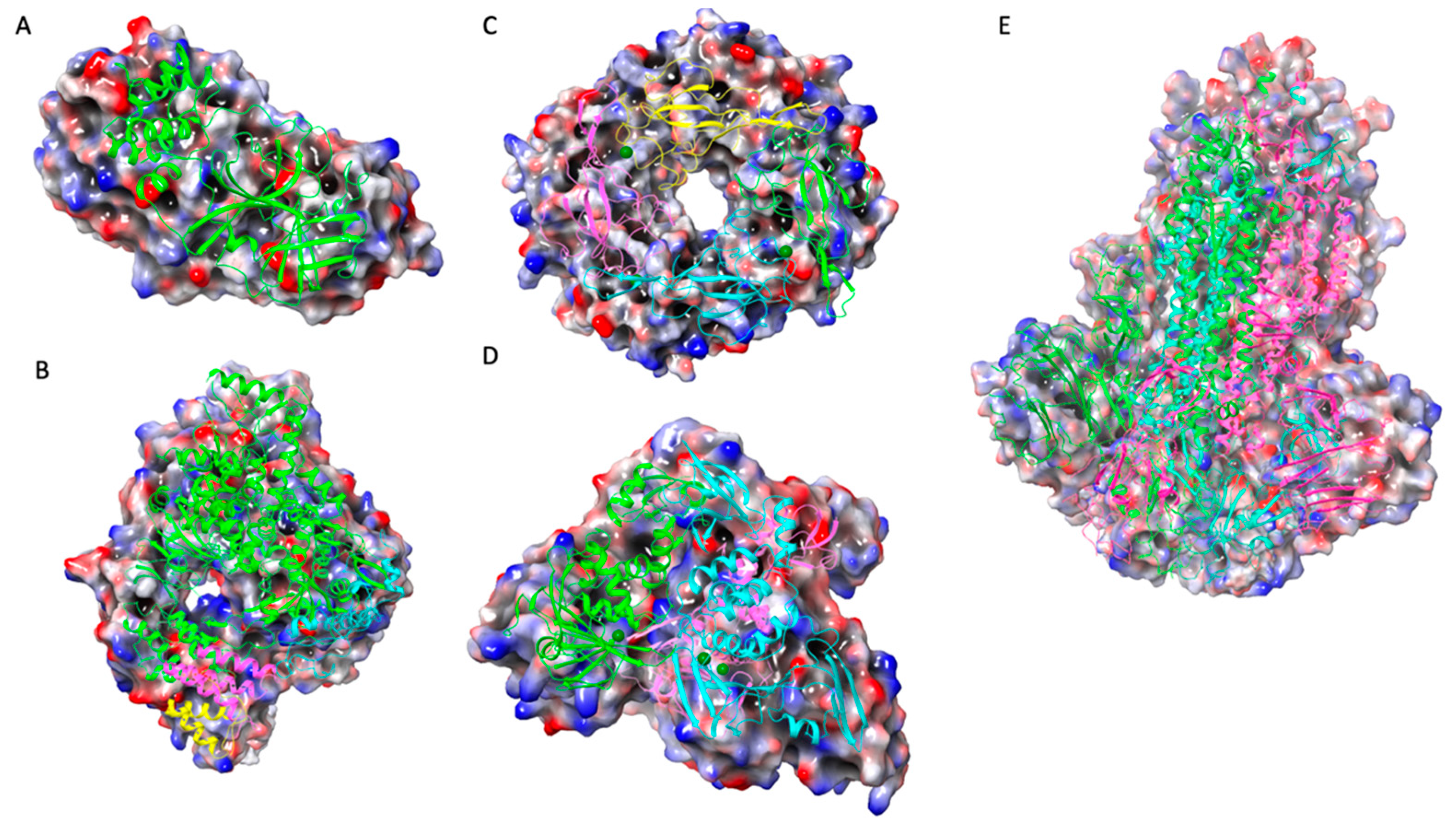 Preprints 82115 g007