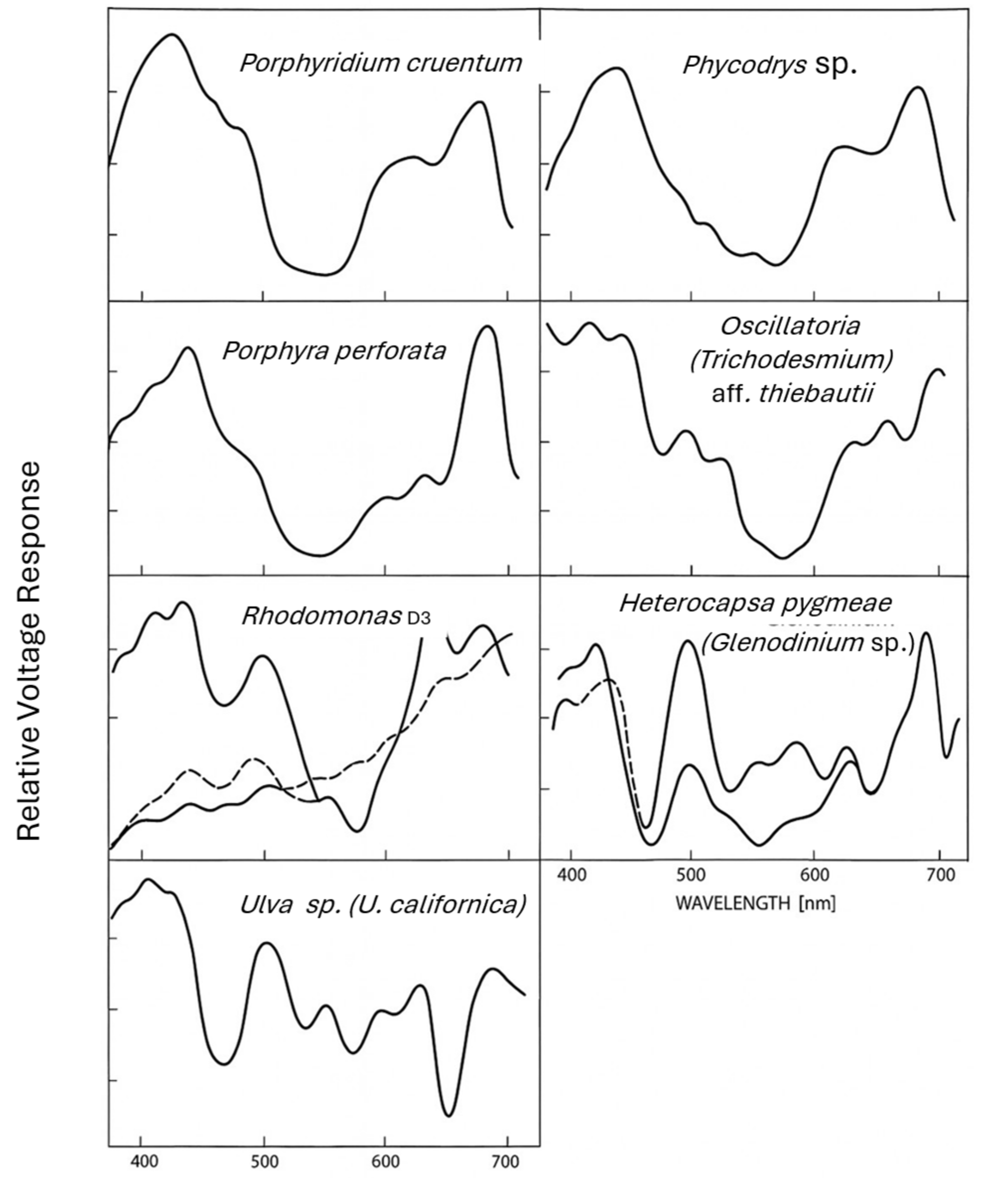Preprints 196447 g001