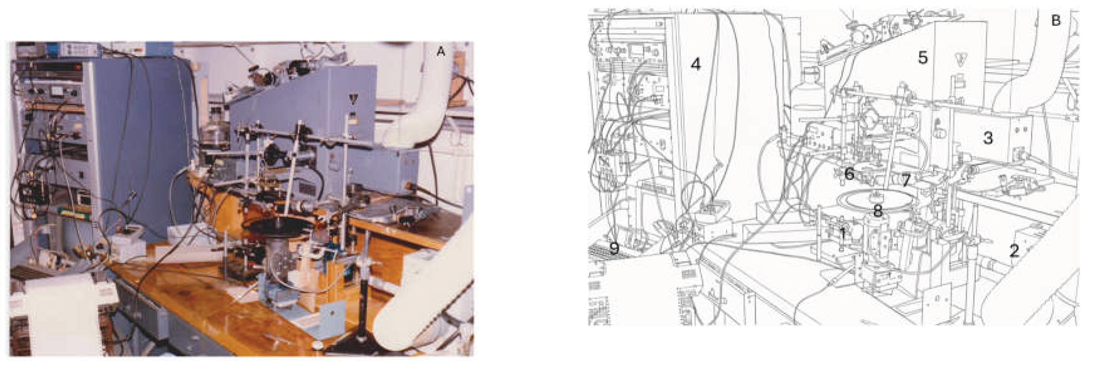 Preprints 196447 g002