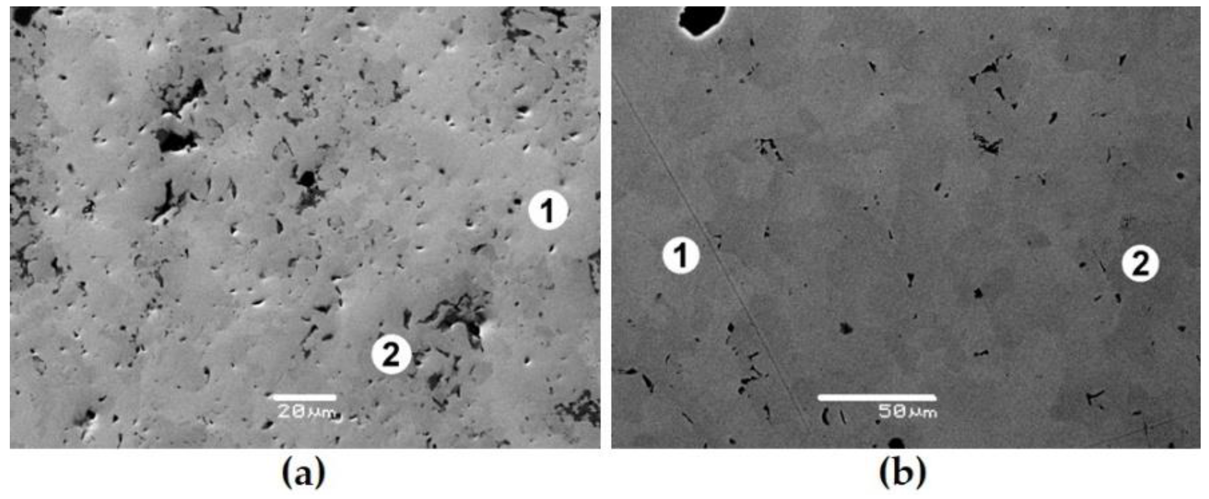 Preprints 142152 g007