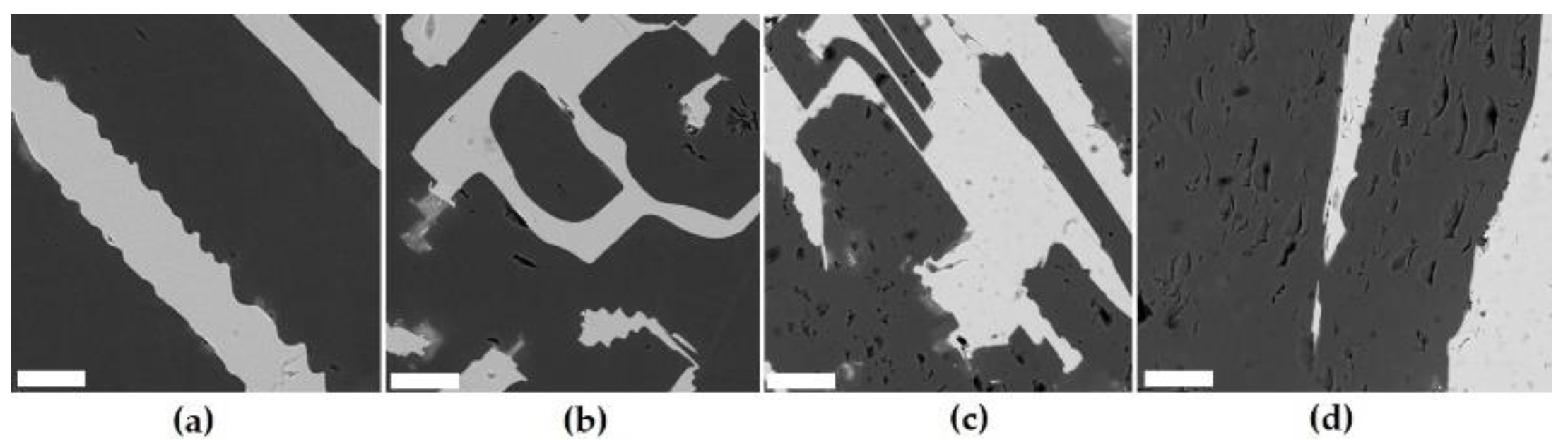 Preprints 142152 g010