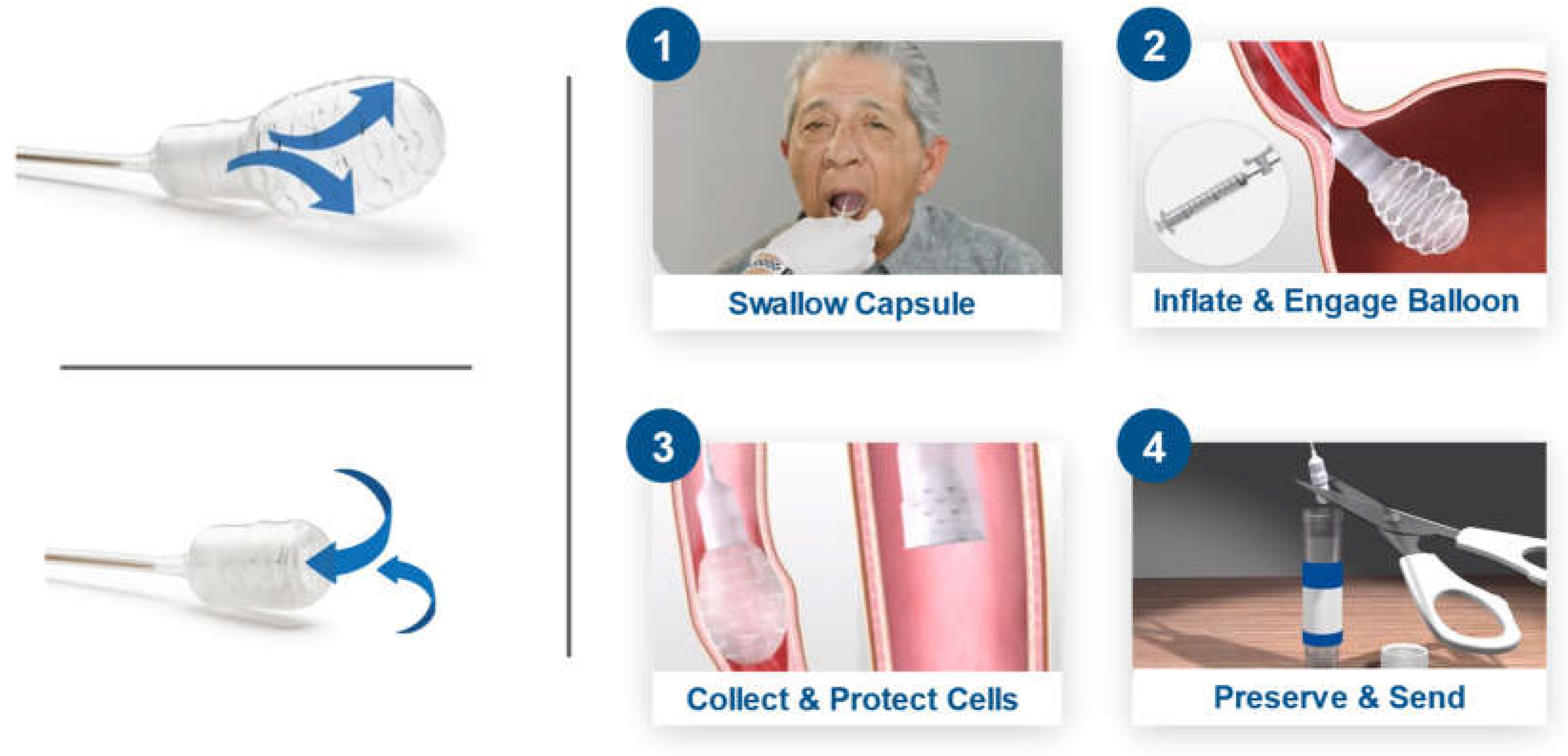 Preprints 138332 g001