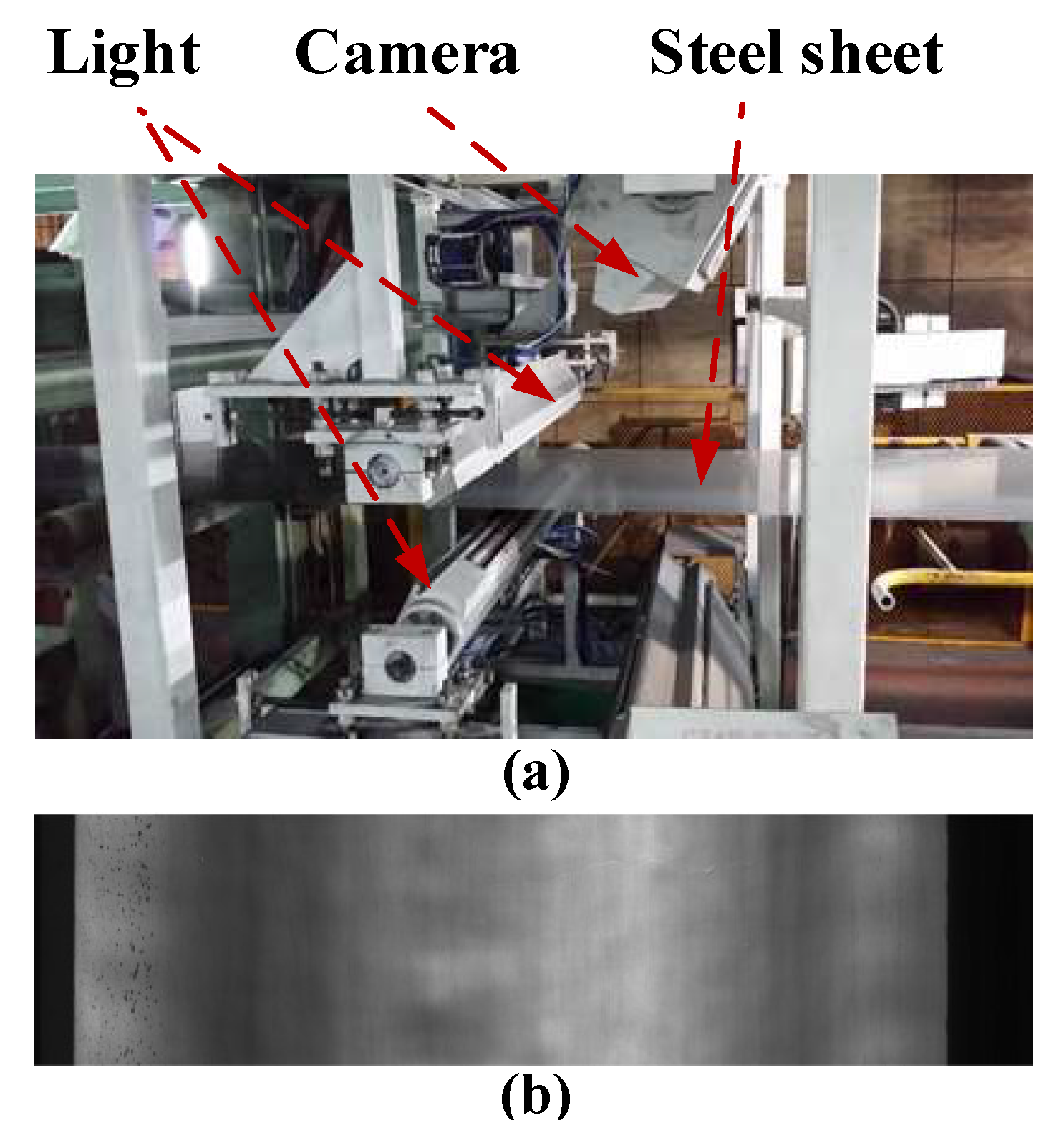 Preprints 150910 g005