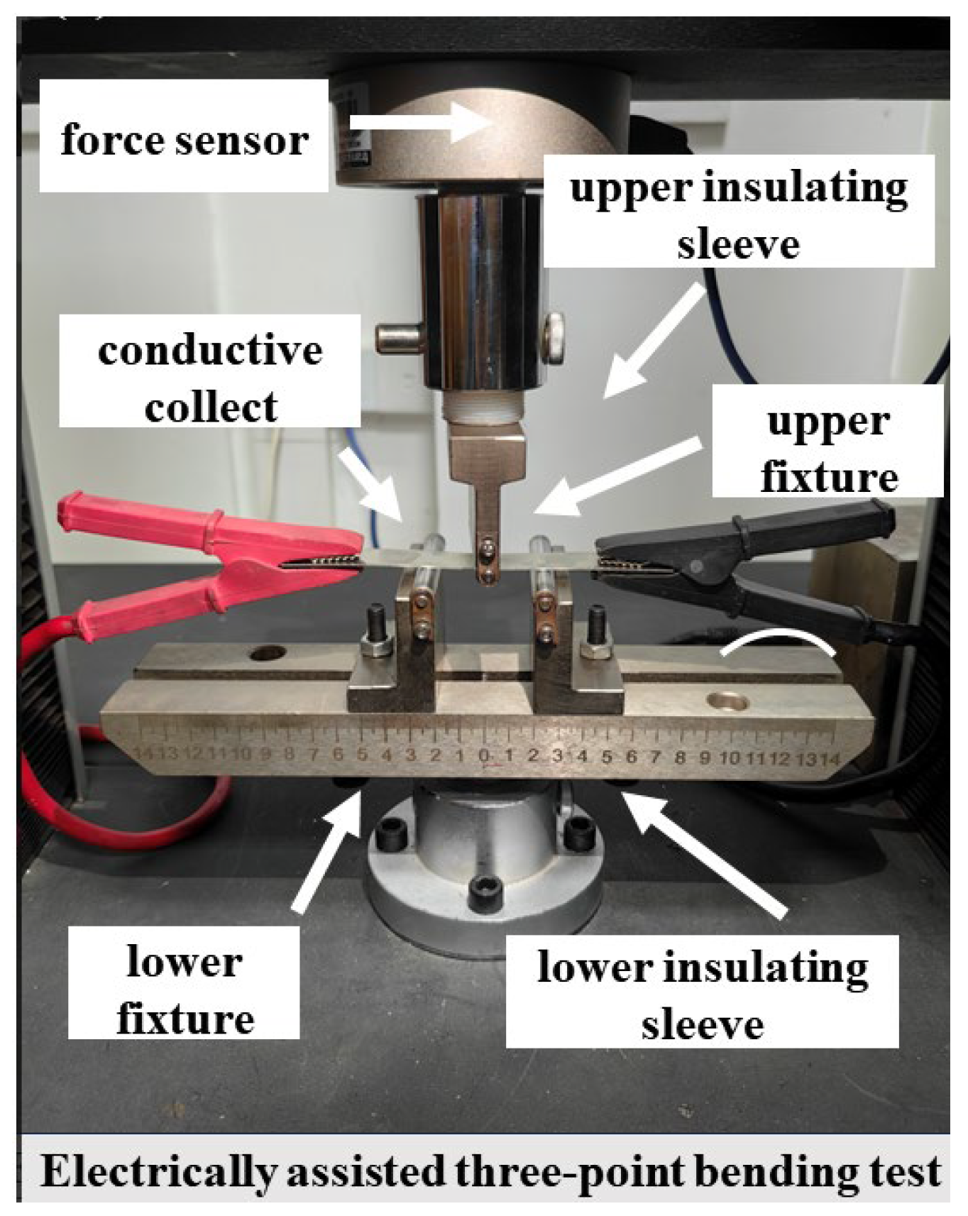 Preprints 144099 g019