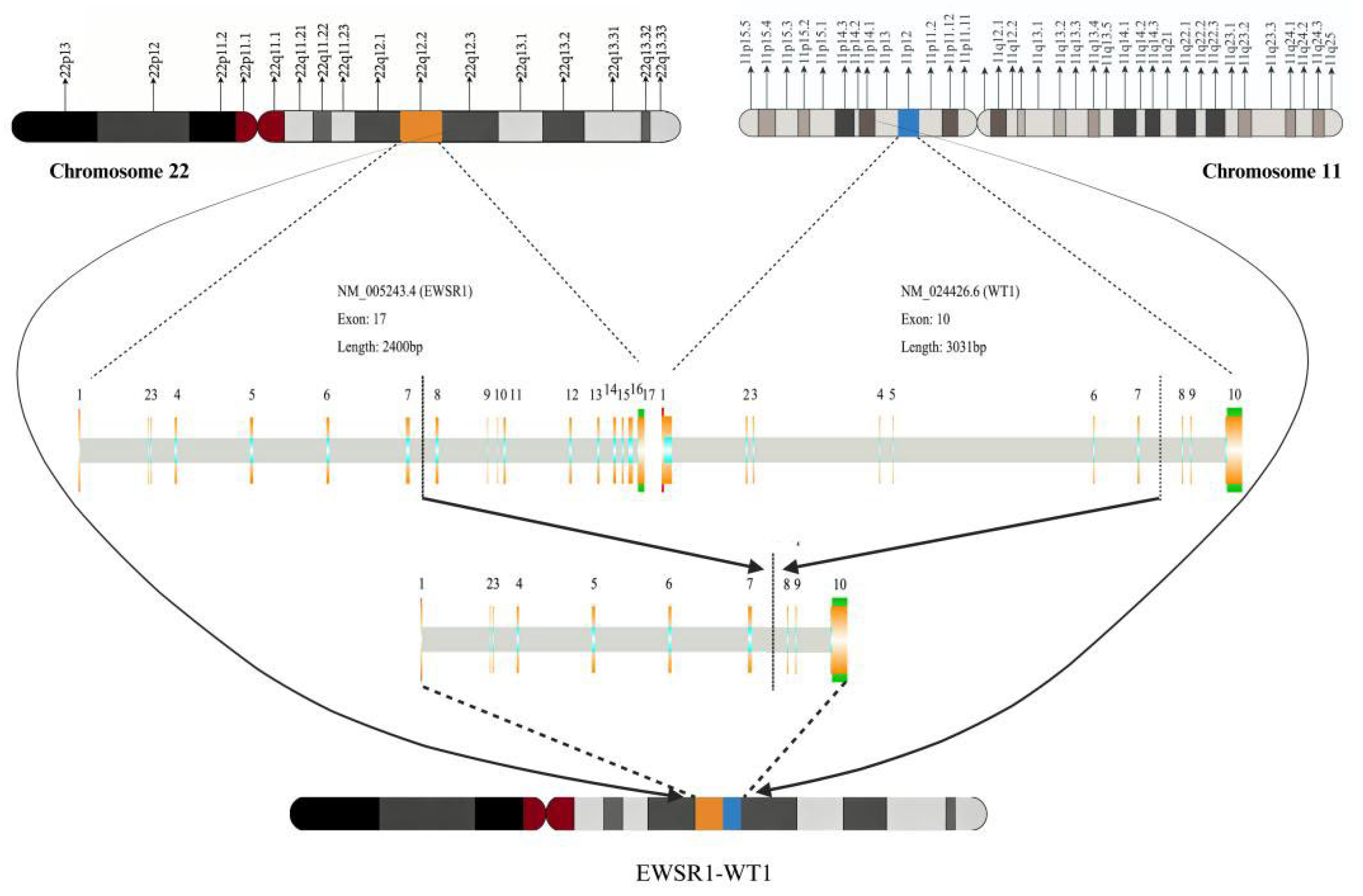 Preprints 208448 g001