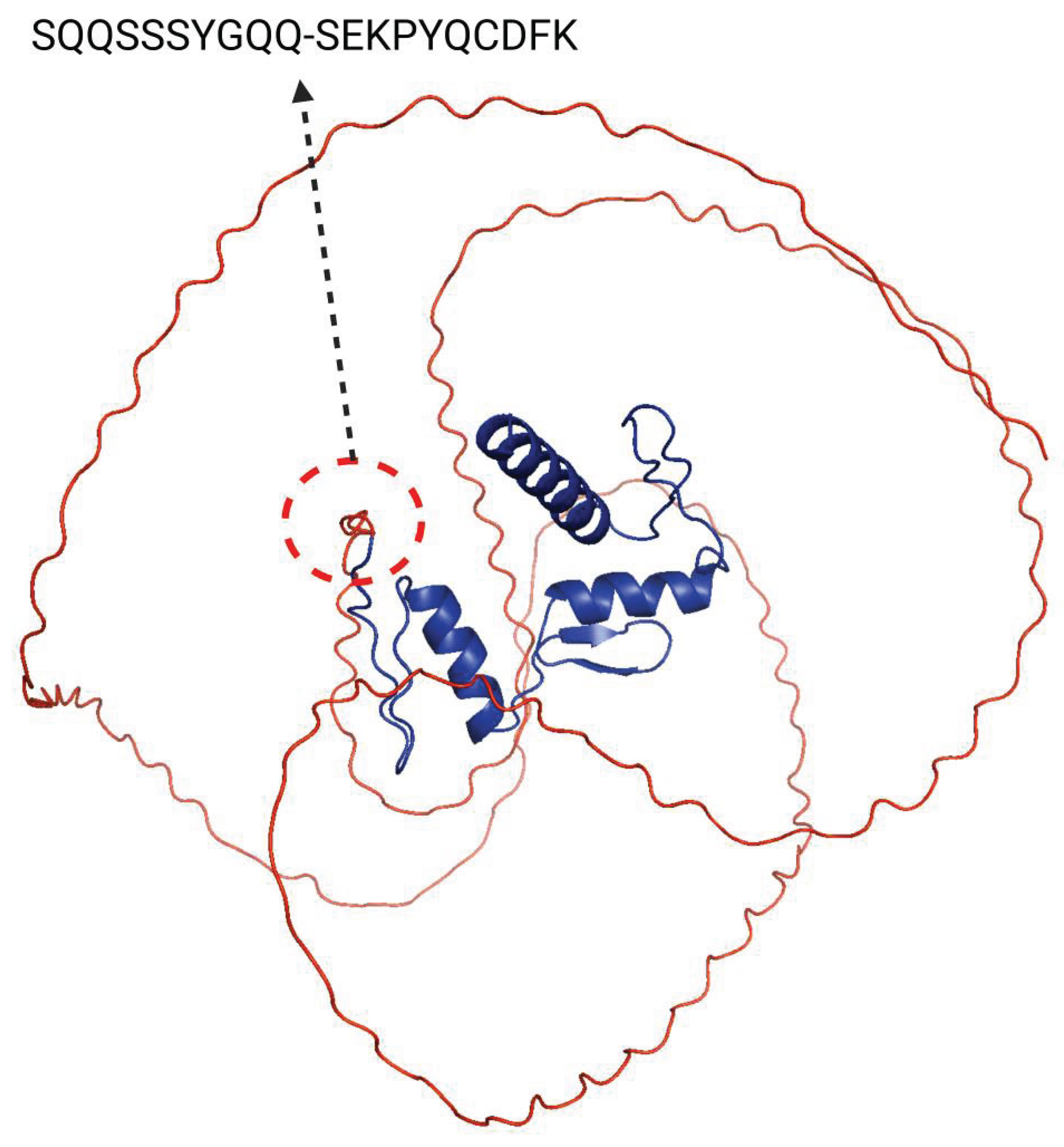 Preprints 208448 g004