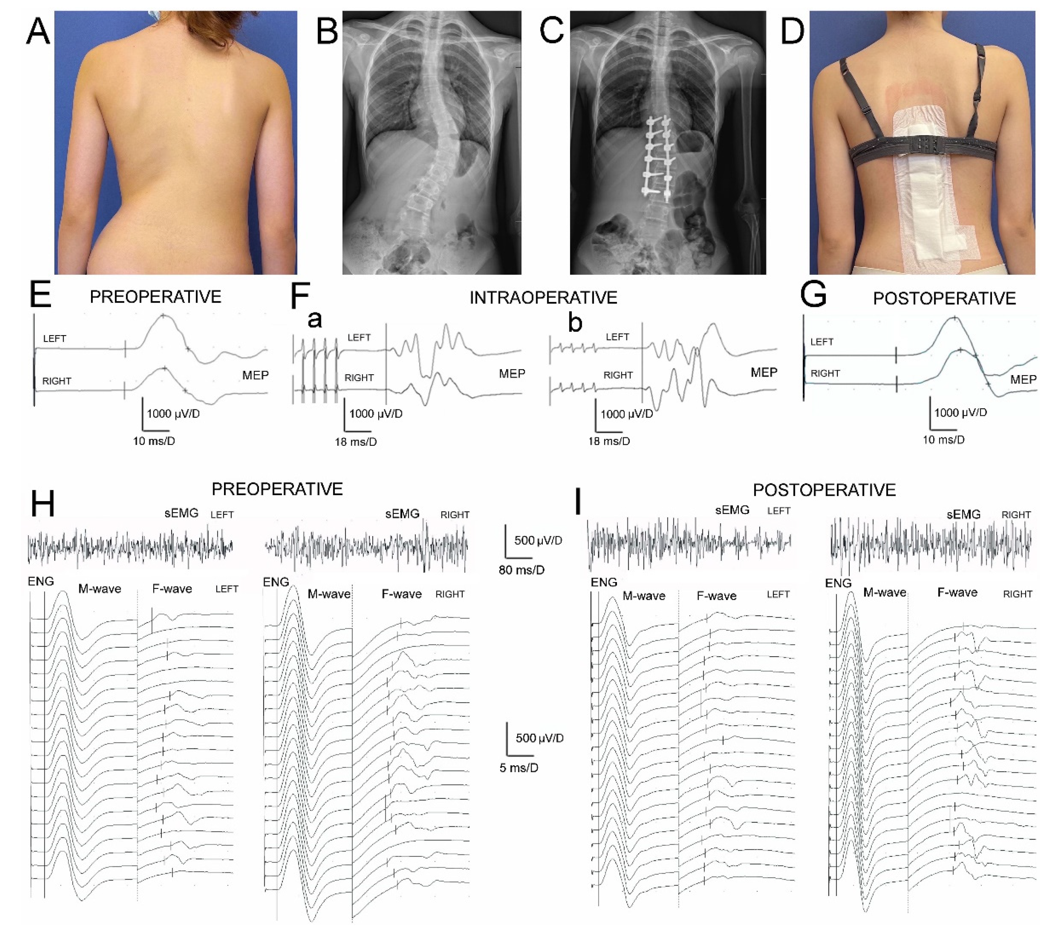 Preprints 81619 g002