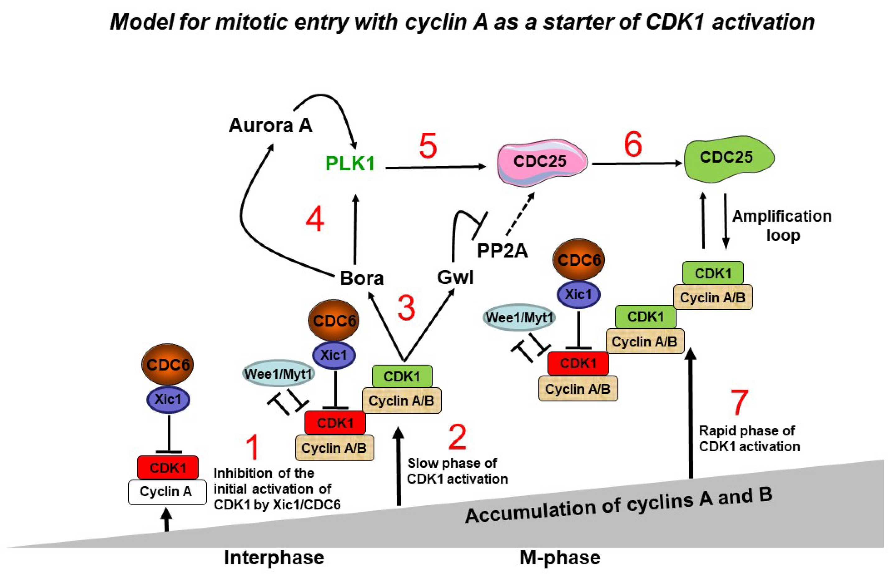 Preprints 73677 g001