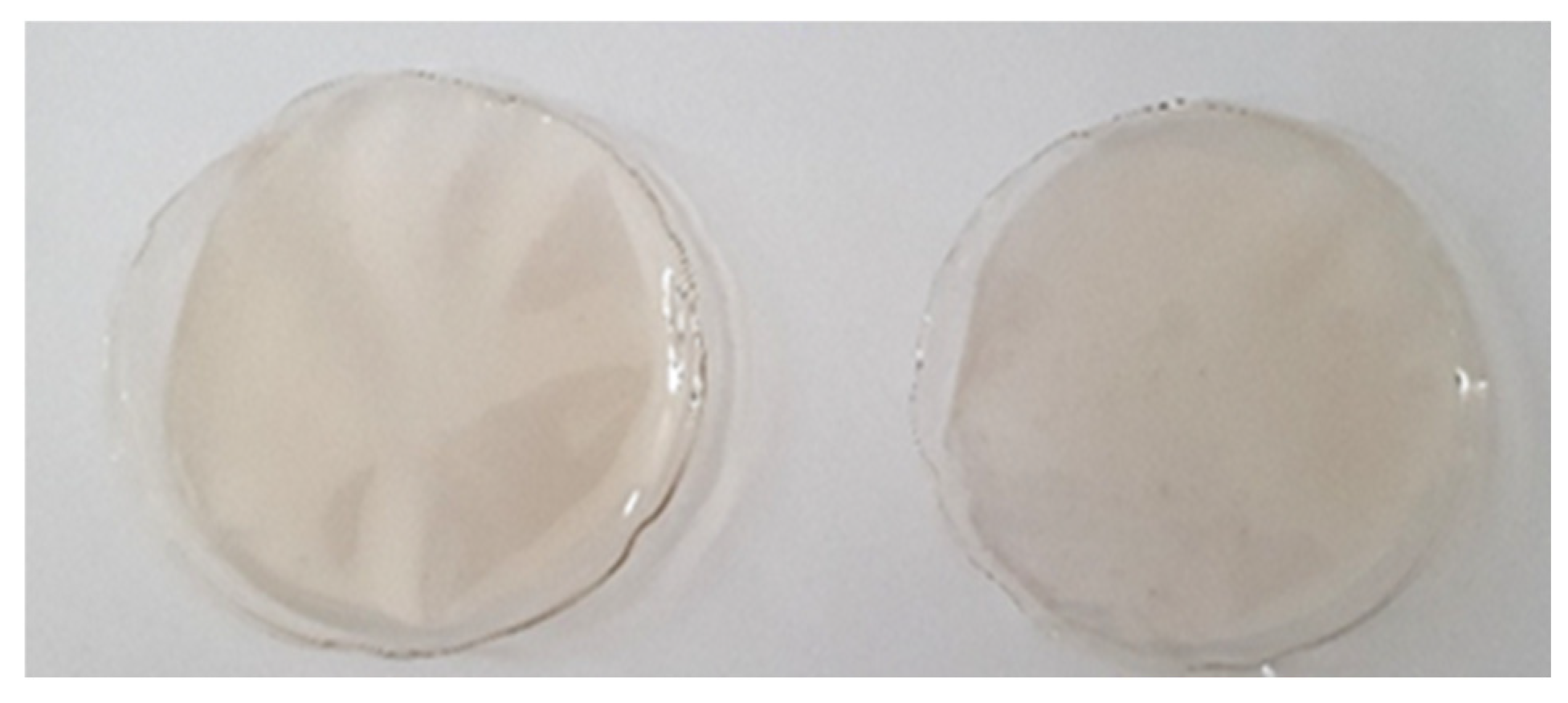 Preprints 190024 g002