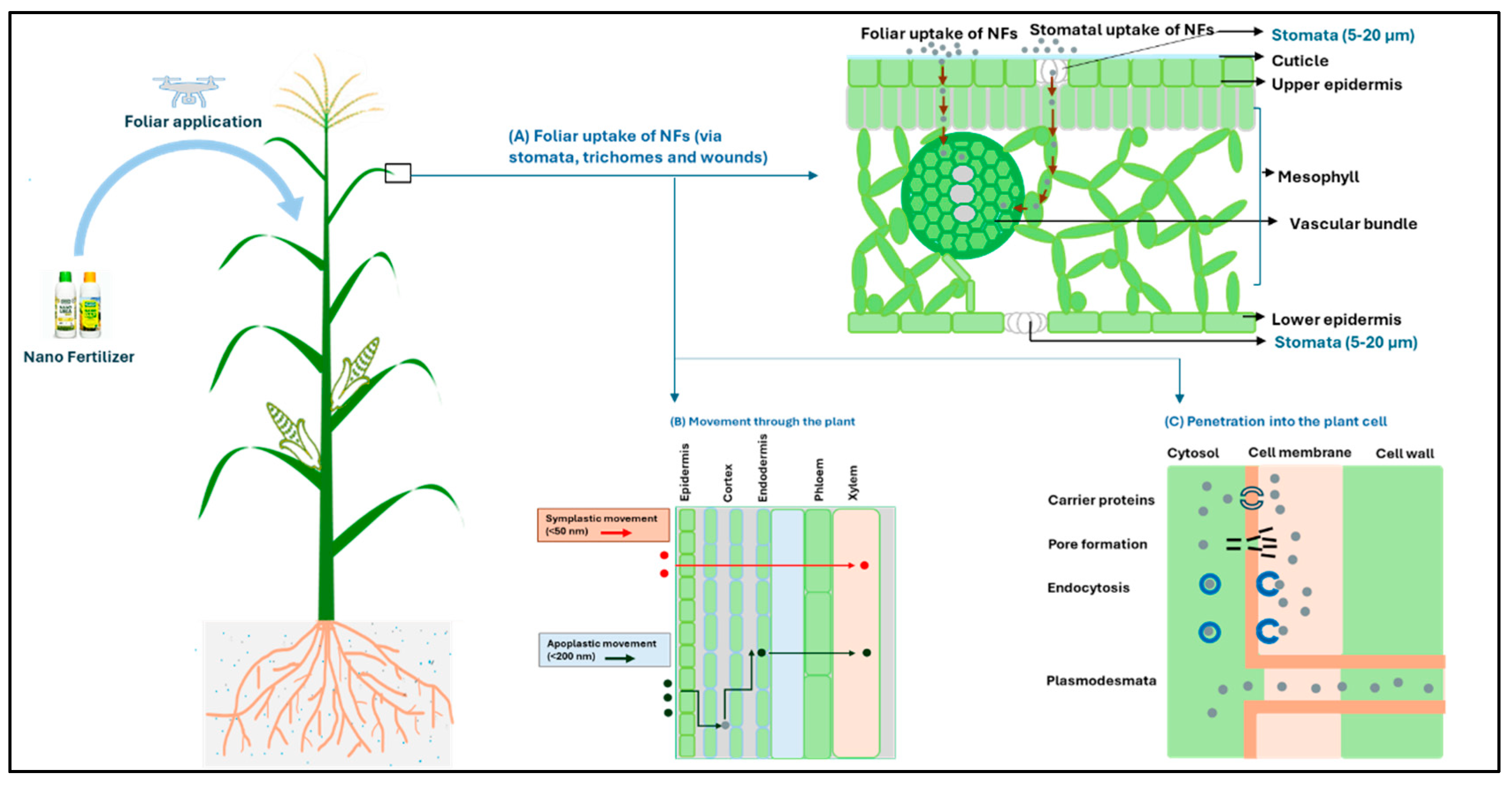 Preprints 192273 g003